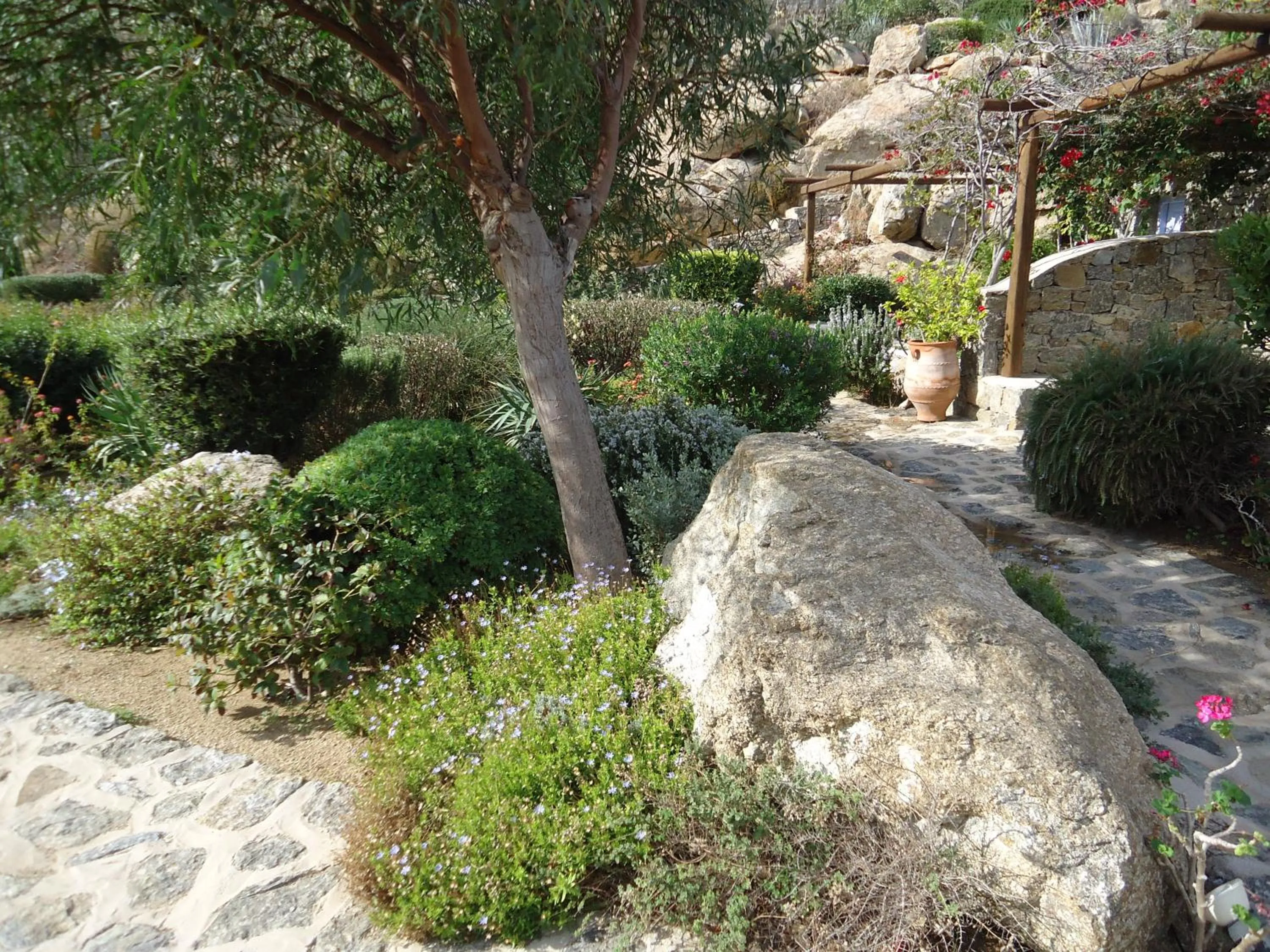 Garden in Nama Villas
