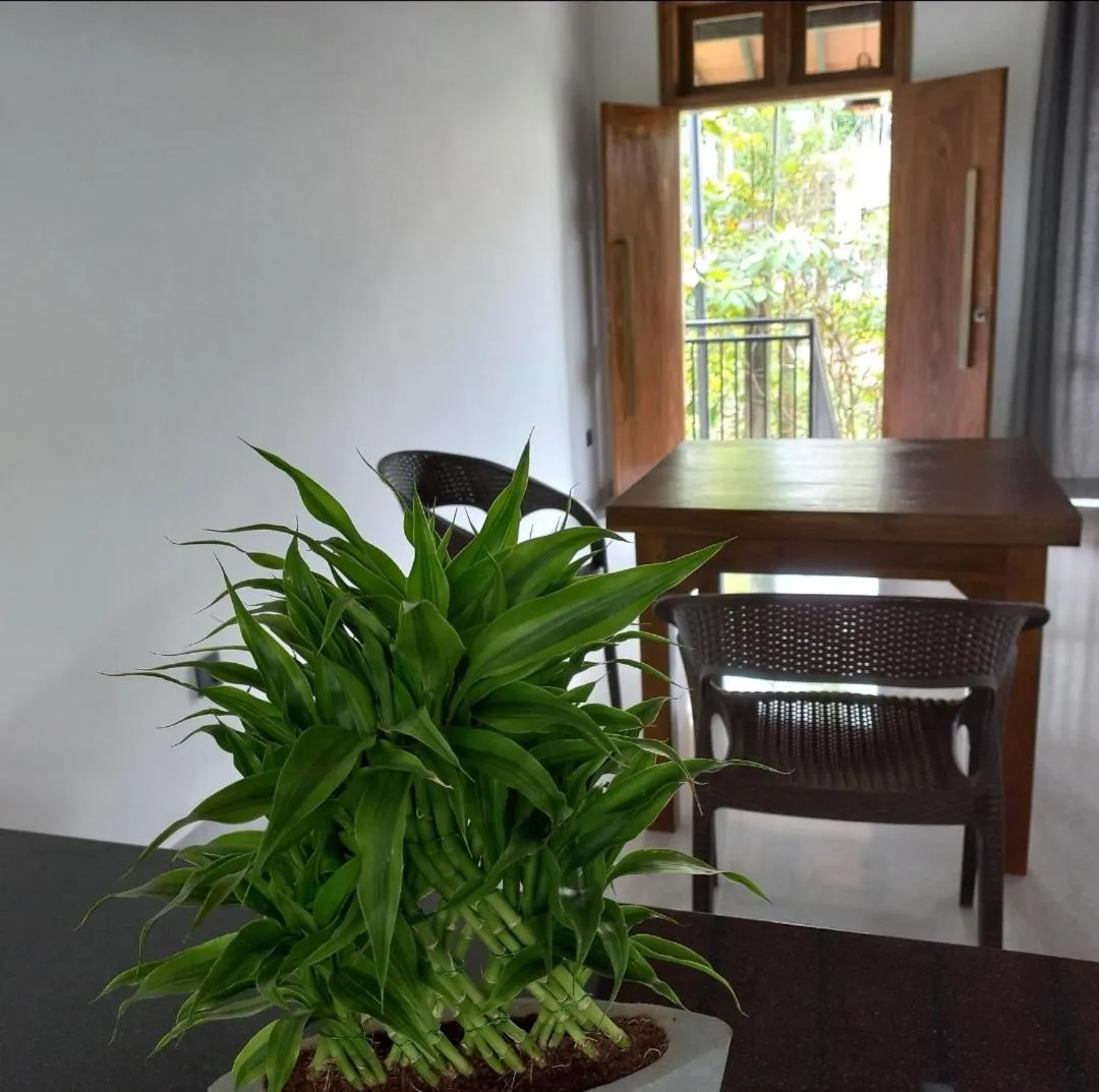 Garden in Mirissa Cocoon