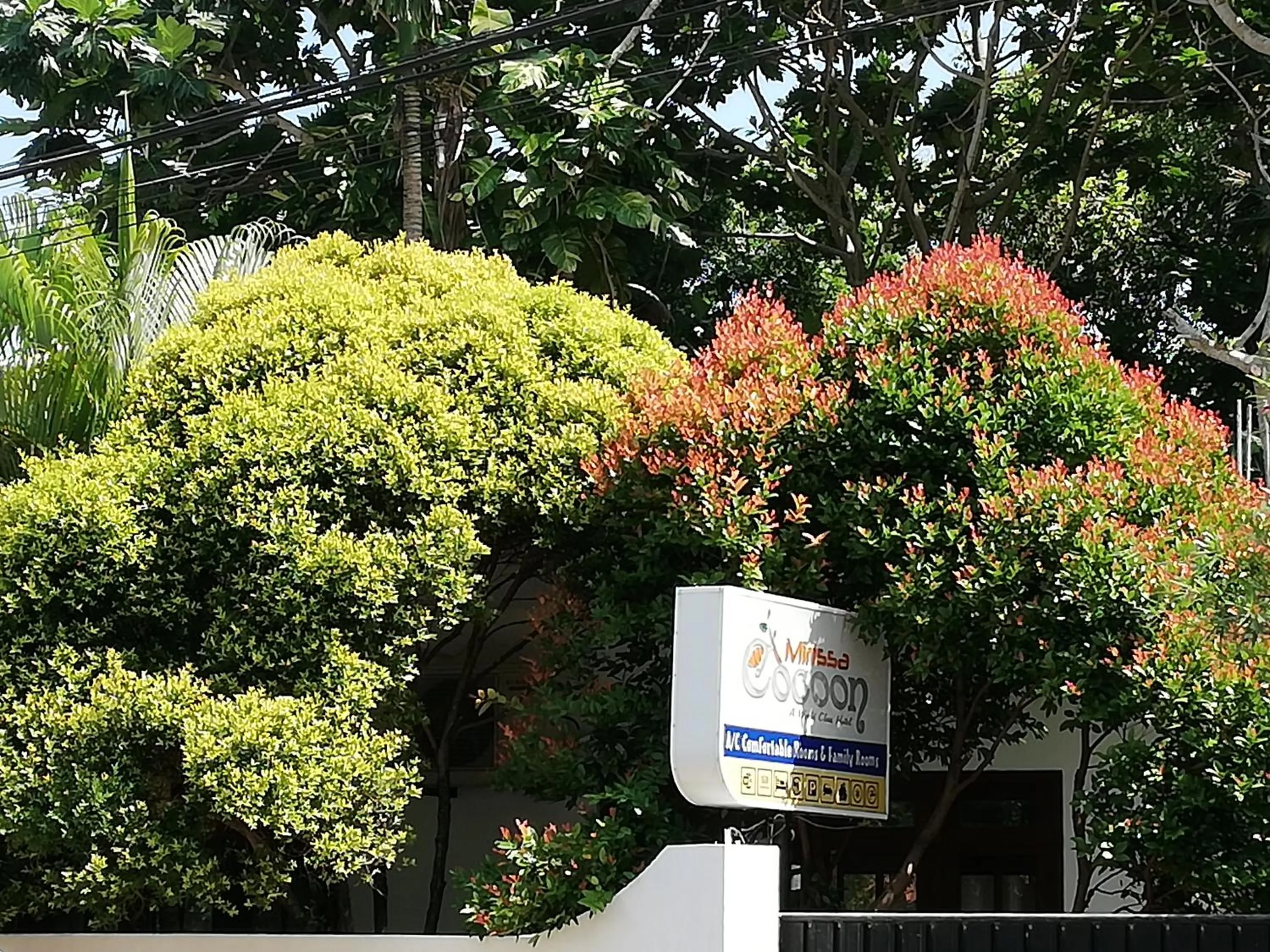 Property logo or sign in Mirissa Cocoon