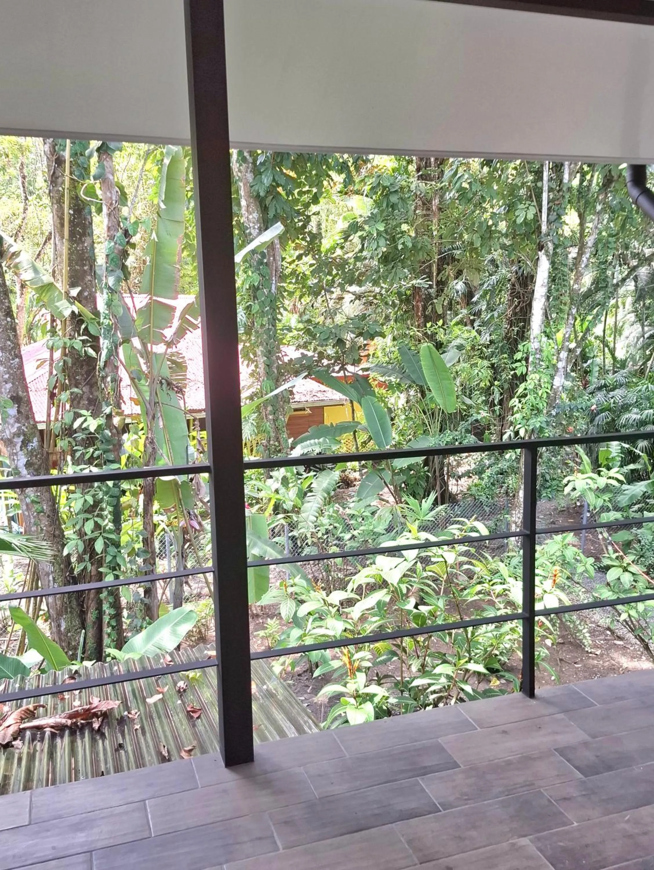 View (from property/room) in El Jardin de Playa Negra