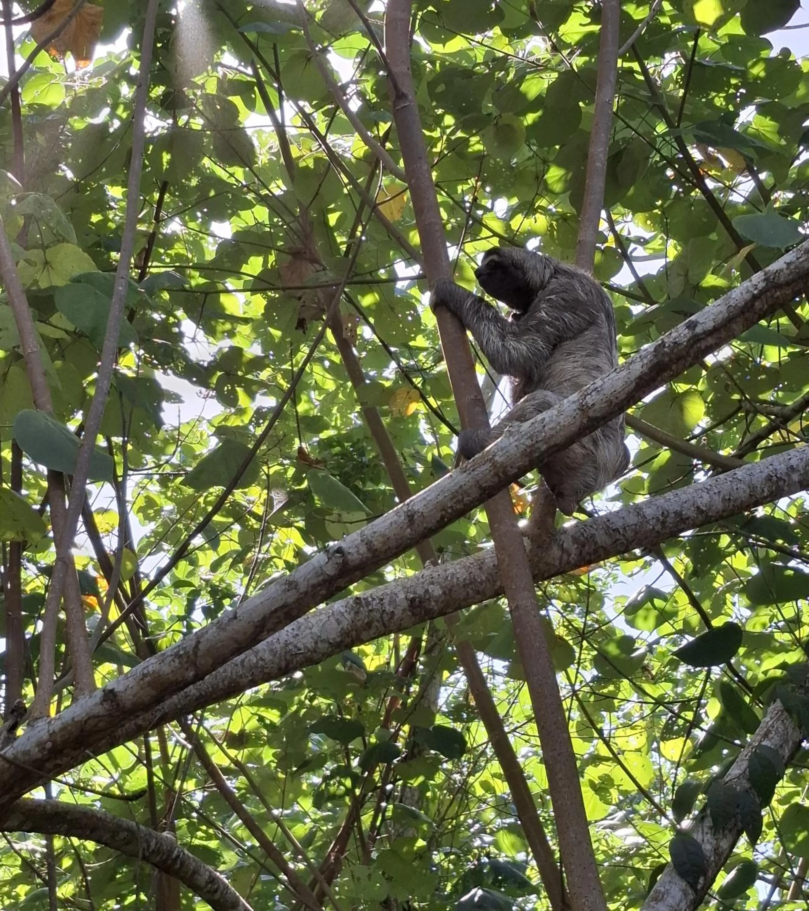 Day in El Jardin de Playa Negra