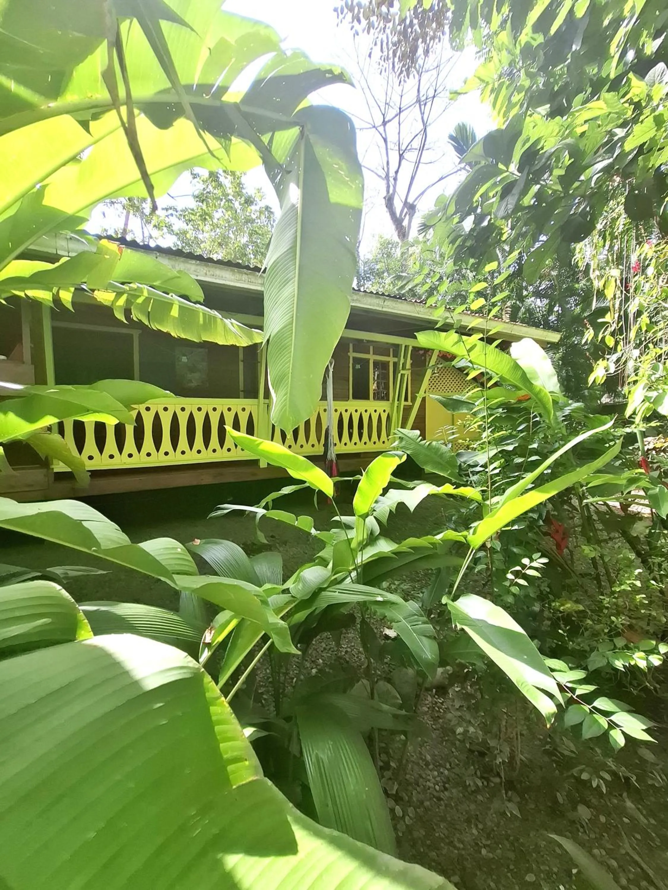 Property building in El Jardin de Playa Negra