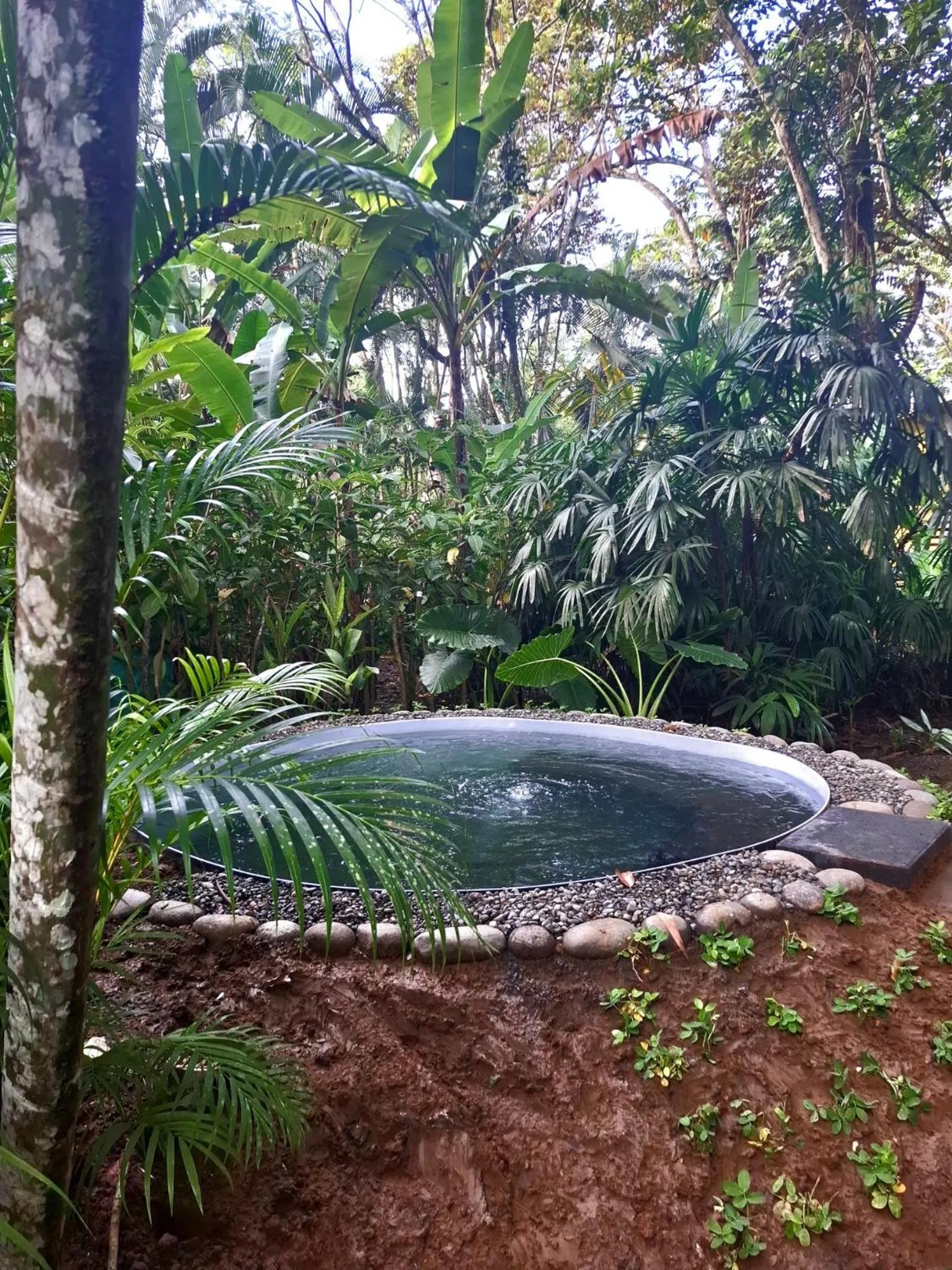 Swimming pool in El Jardin de Playa Negra