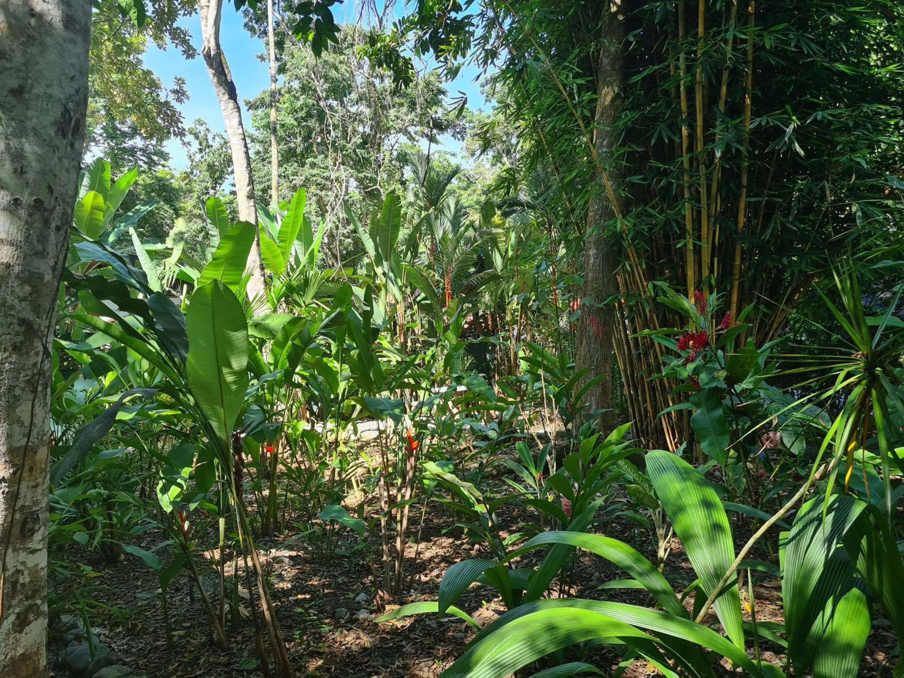Natural landscape in El Jardin de Playa Negra