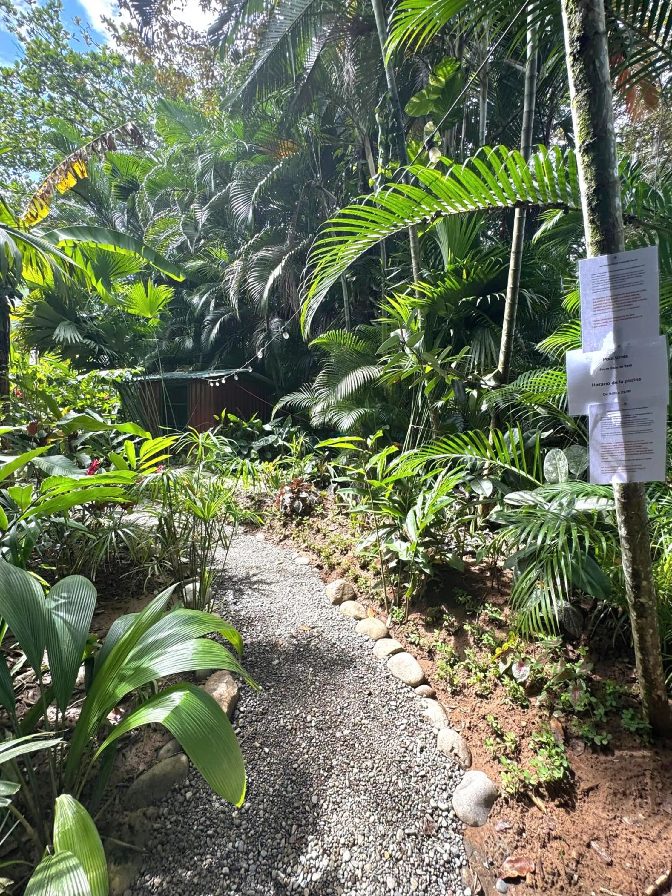 Garden in El Jardin de Playa Negra