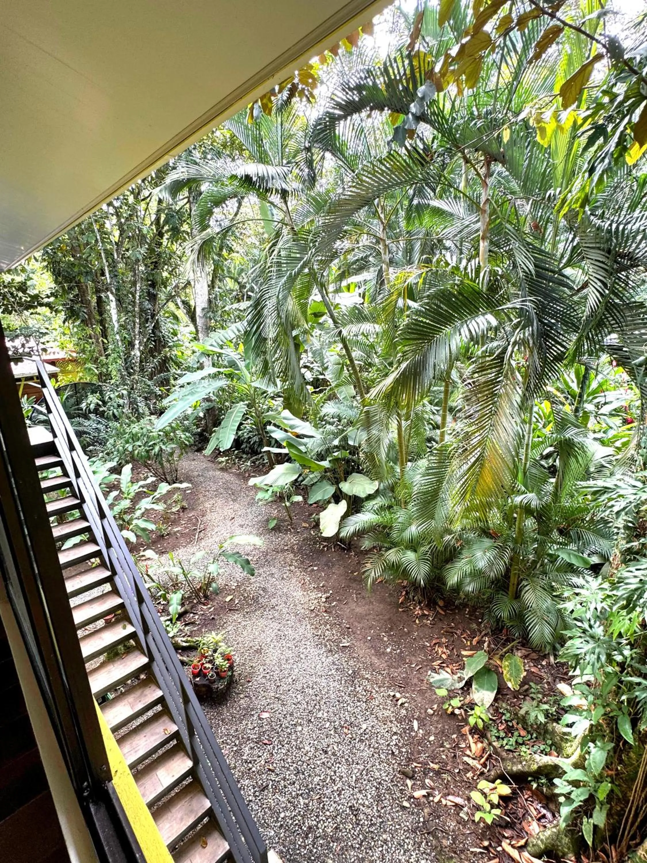 Garden view in El Jardin de Playa Negra