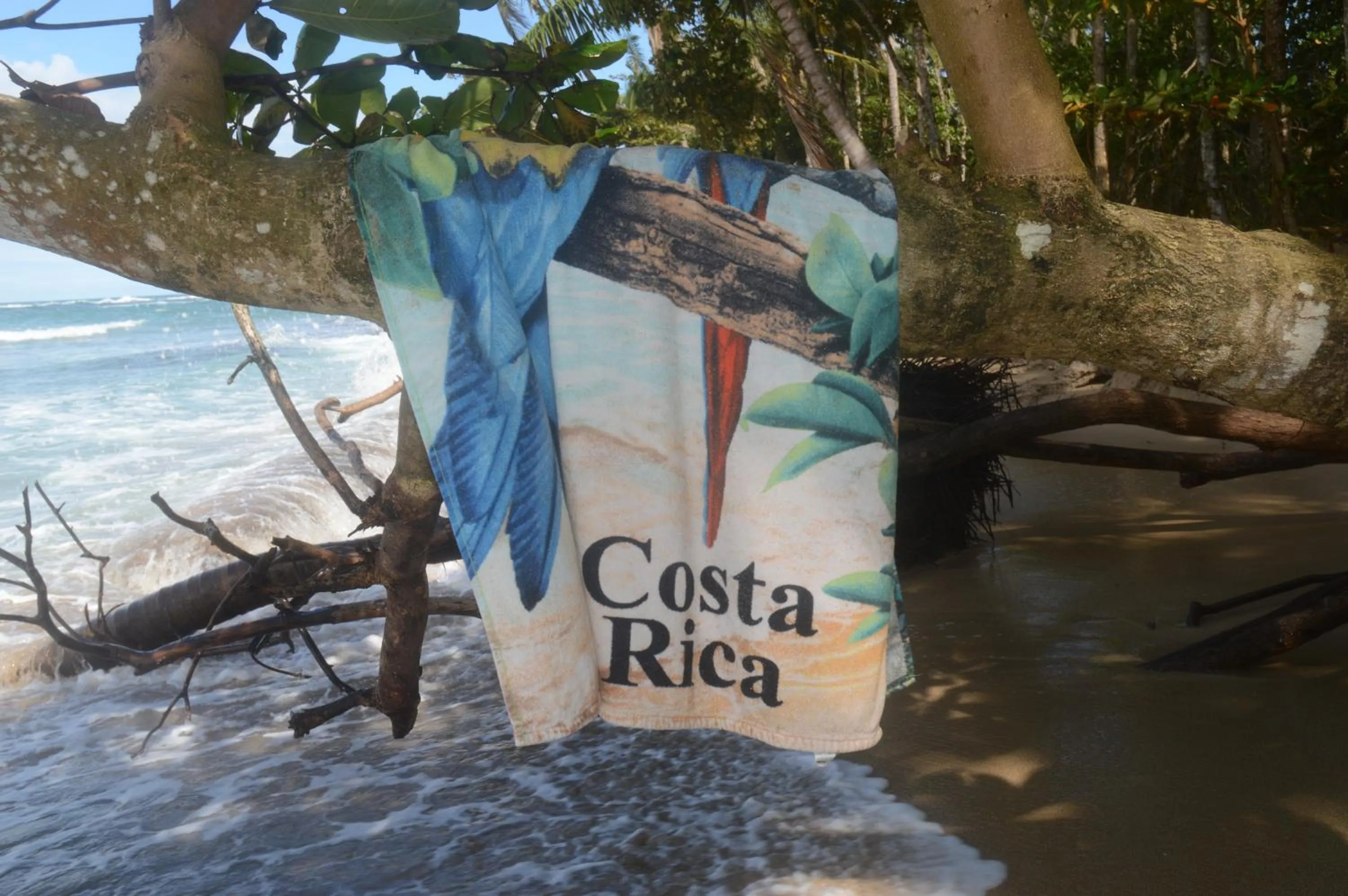 Other in El Jardin de Playa Negra