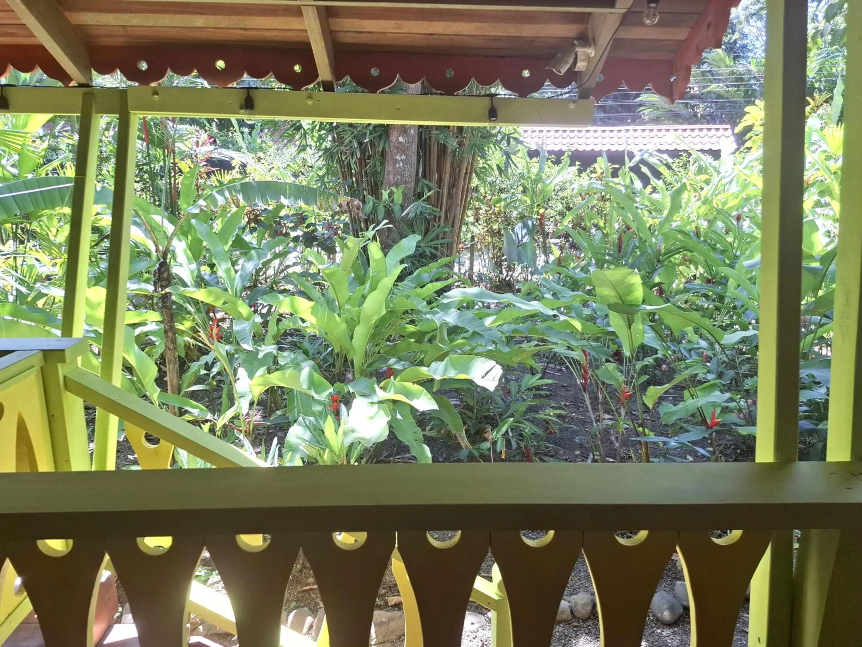 Garden view in El Jardin de Playa Negra