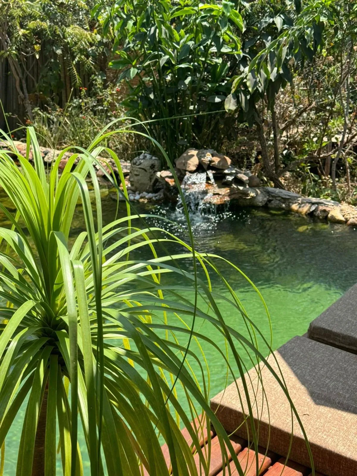 Swimming pool in Vila Abaton