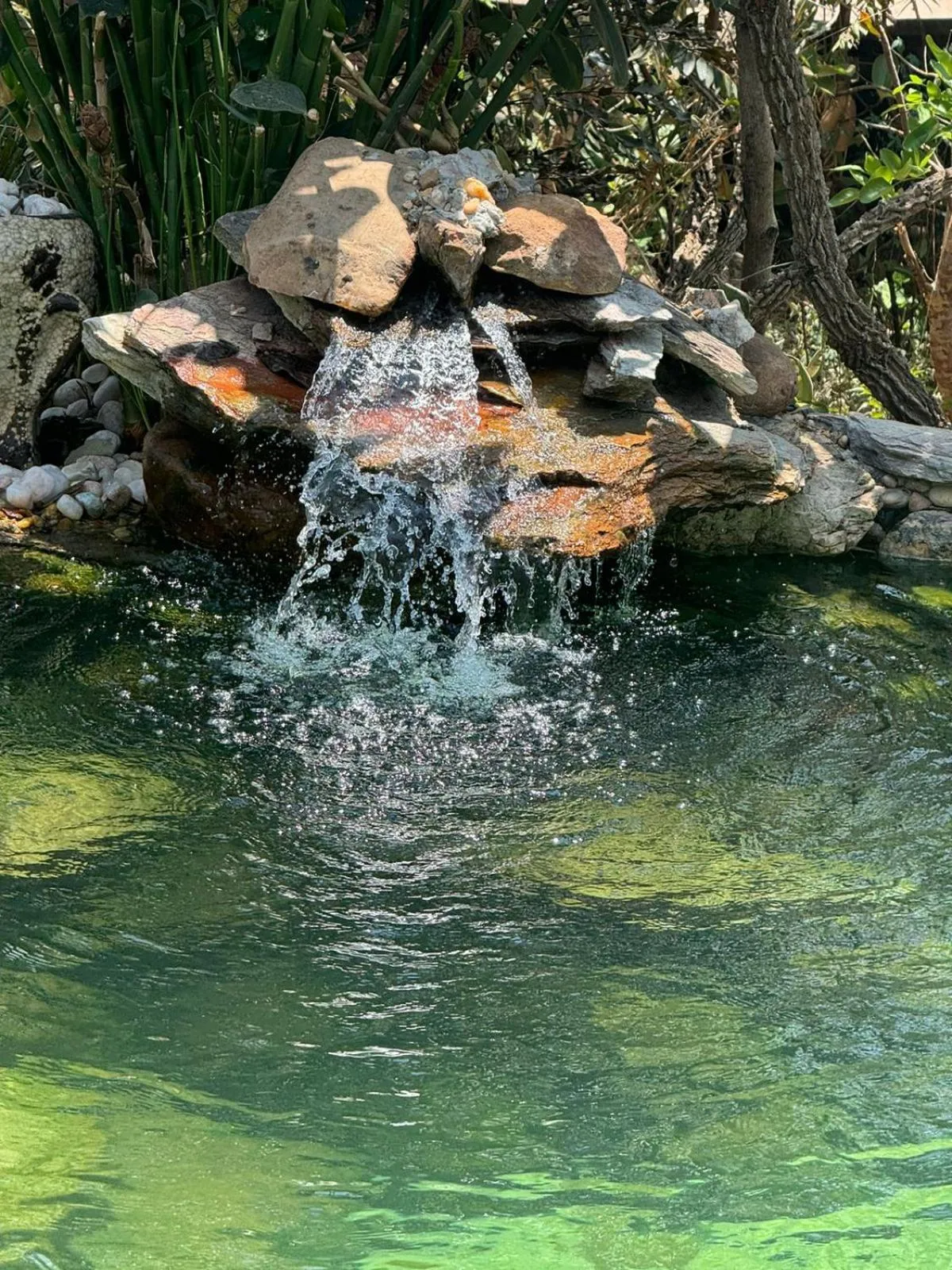 Swimming pool in Vila Abaton