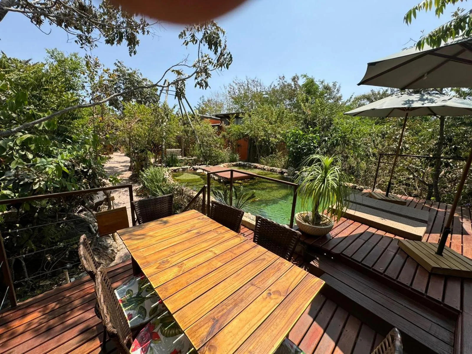 Swimming pool in Vila Abaton