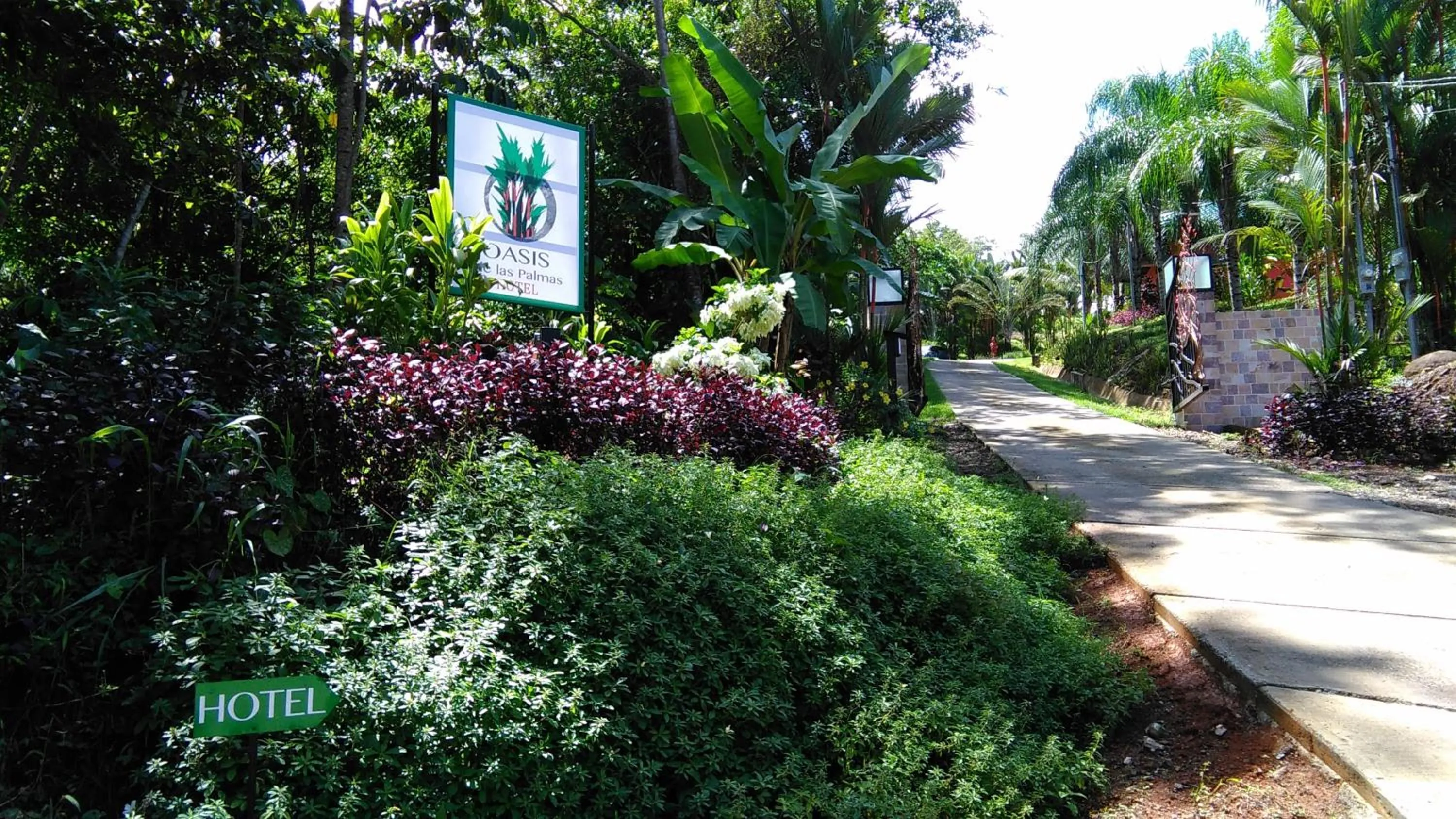 Facade/entrance in Oasis de las Palmas