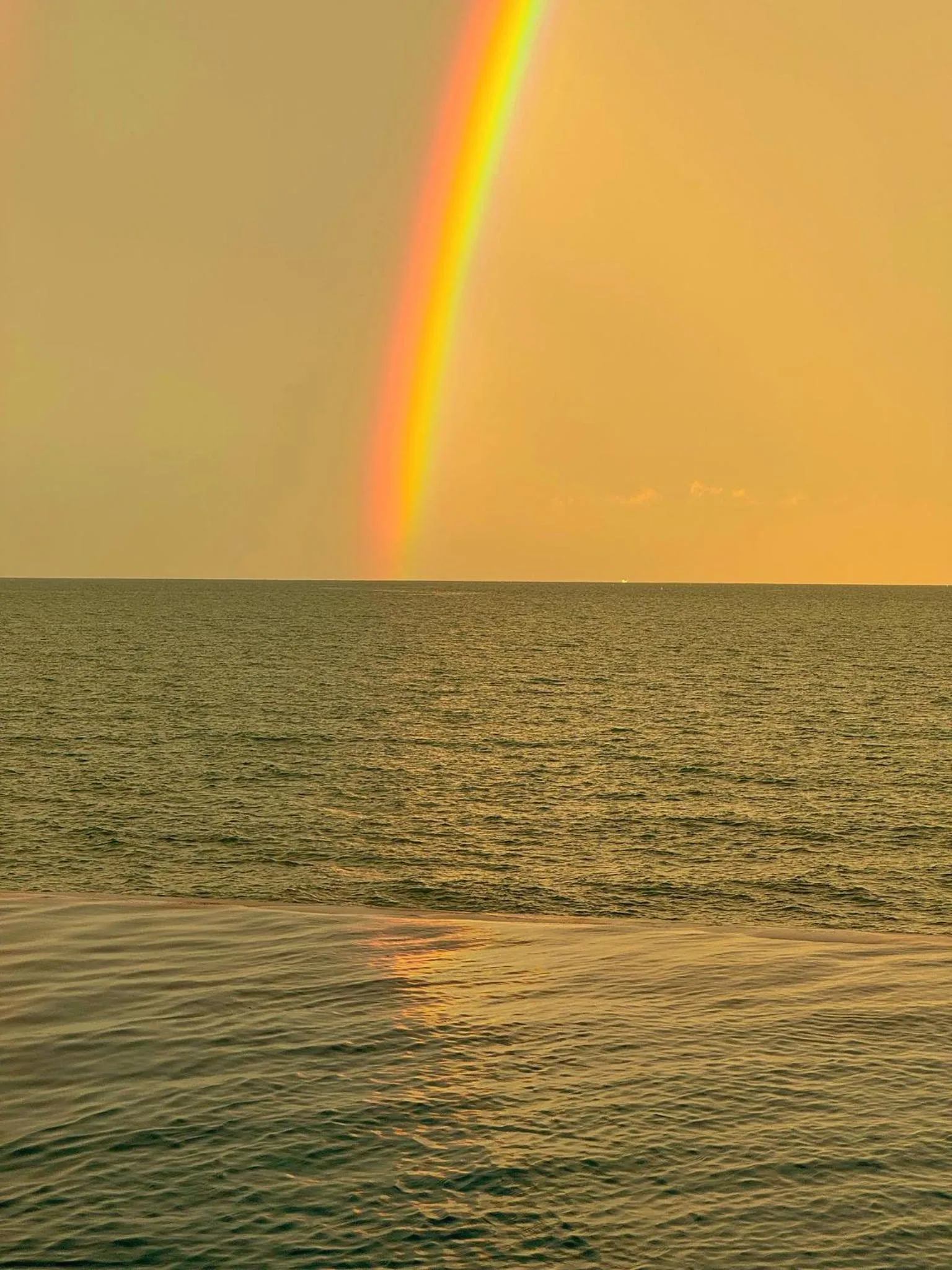 Natural landscape in Reboot Beach Resort, Restaurant, and Coffee Shop