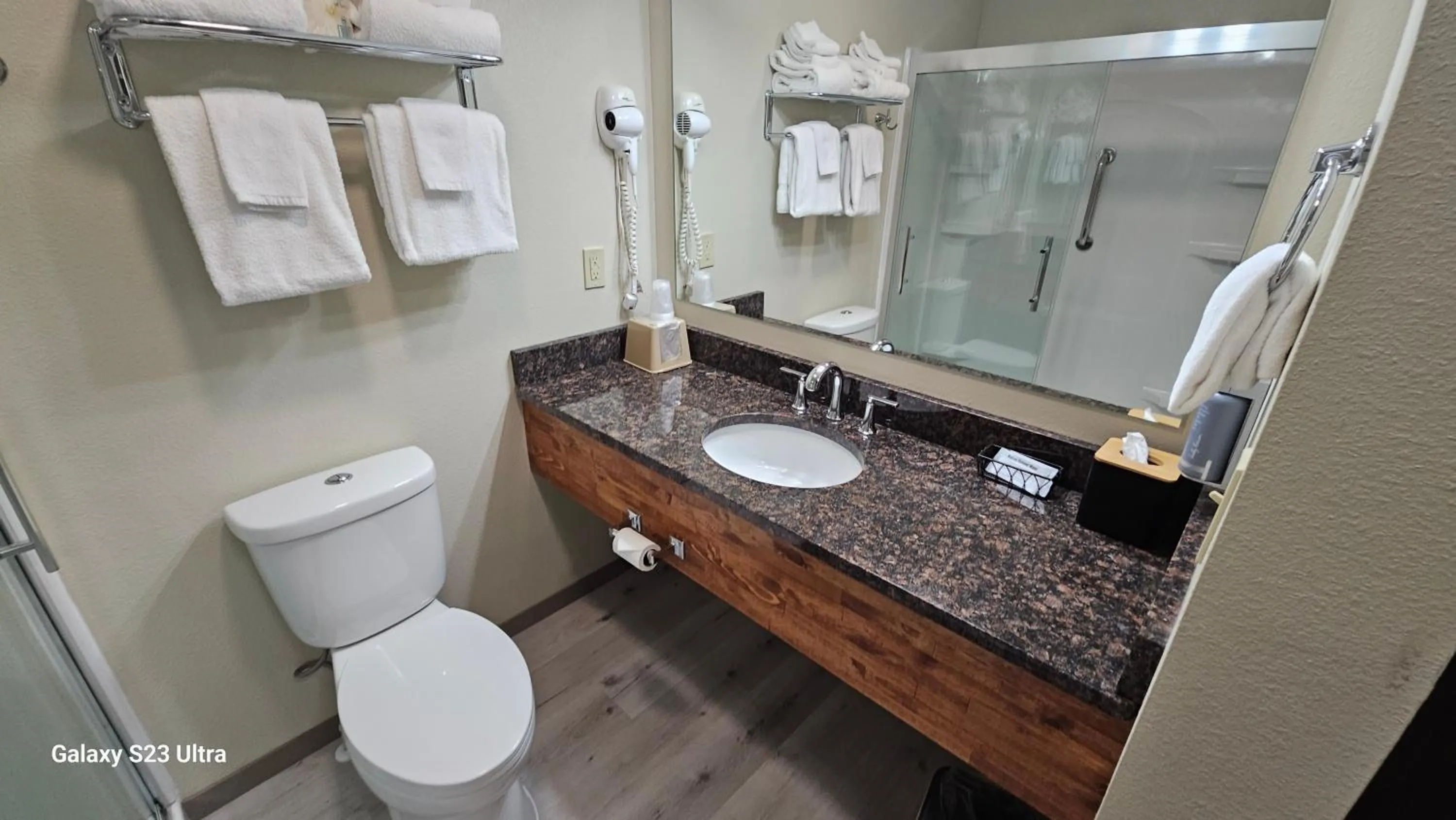 Roosevelt Inn Mount Rushmore