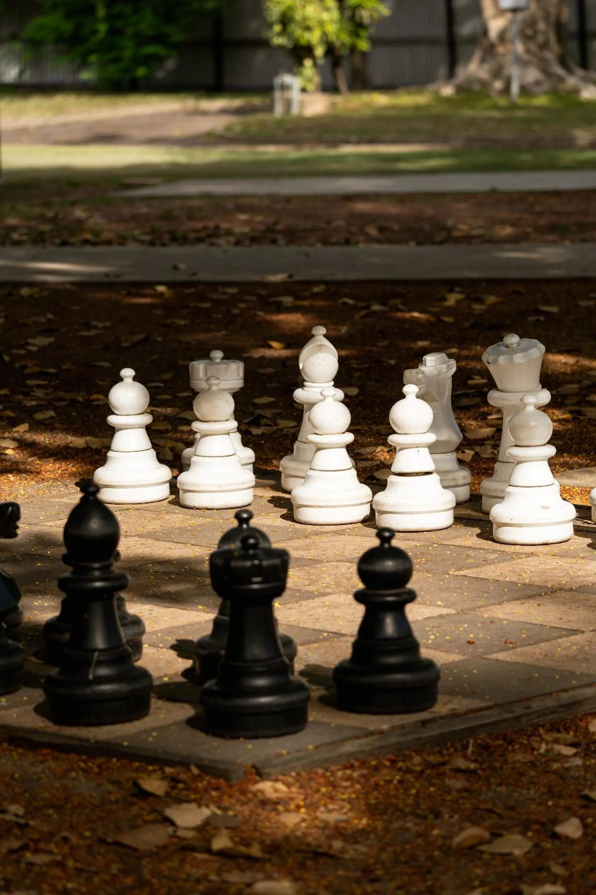 Activities in BIG4 Tasman Holiday Parks - Rowes Bay