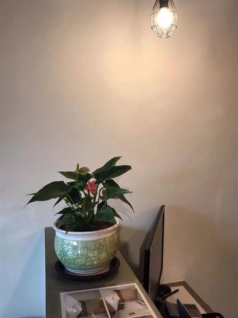 MAX Hotel Subang Jaya