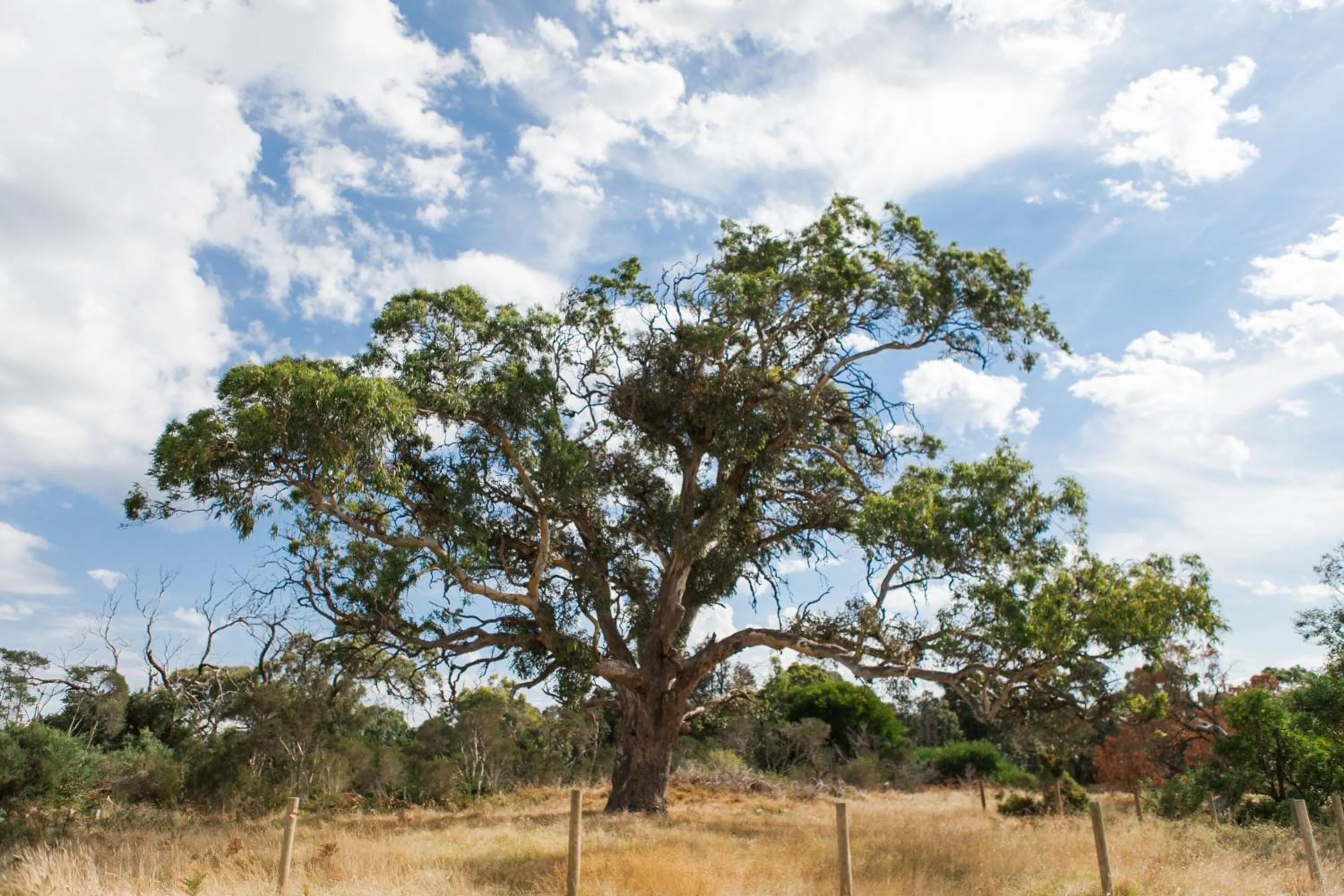 Sailaway Beach House