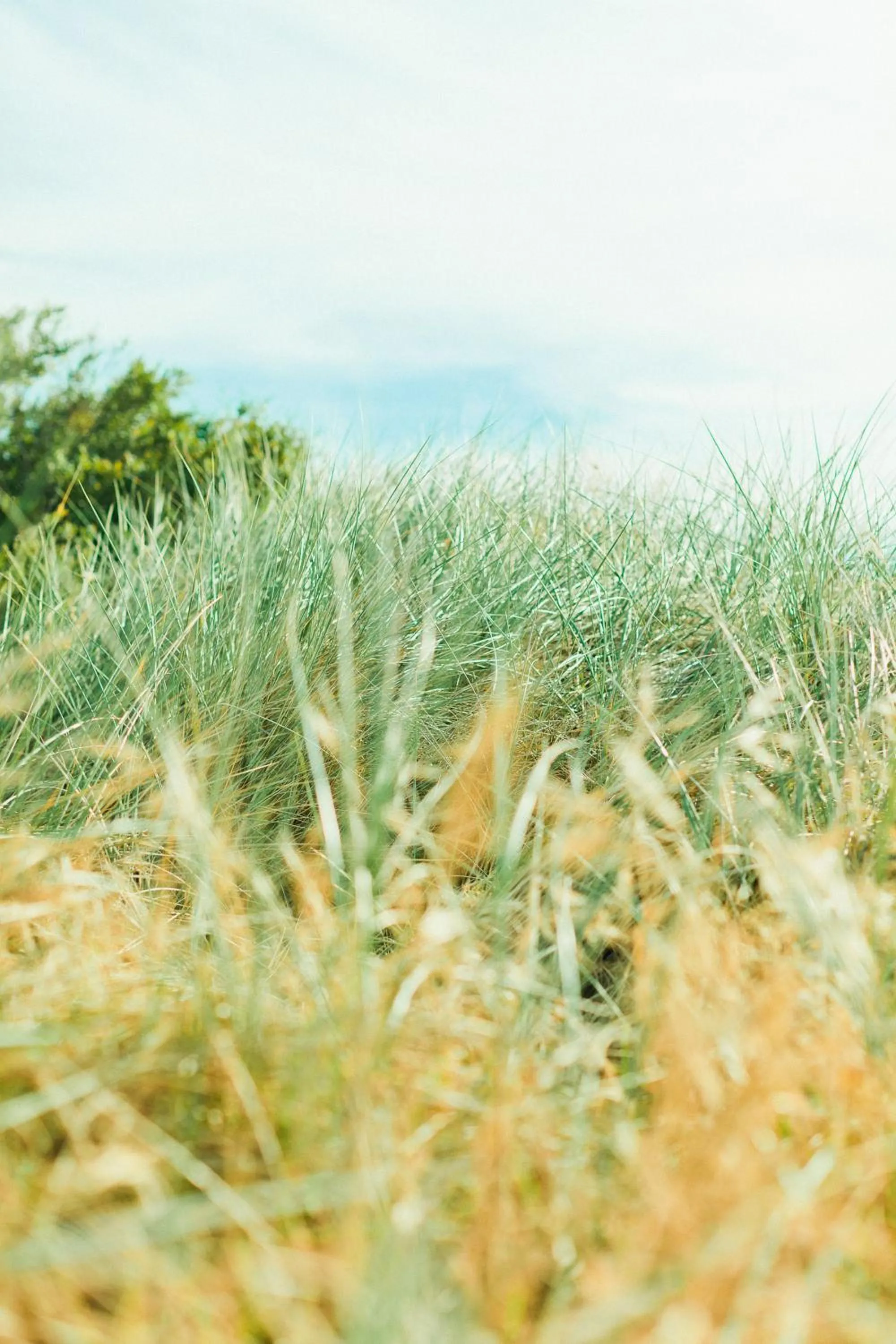 Sailaway Beach House