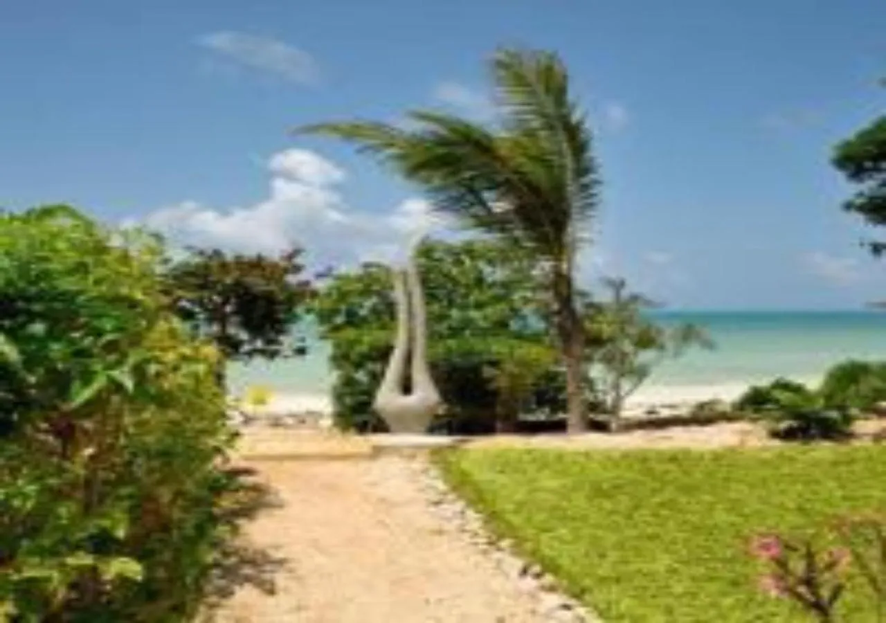 Garden in Villa Serenity, Tanzania Unforgettable