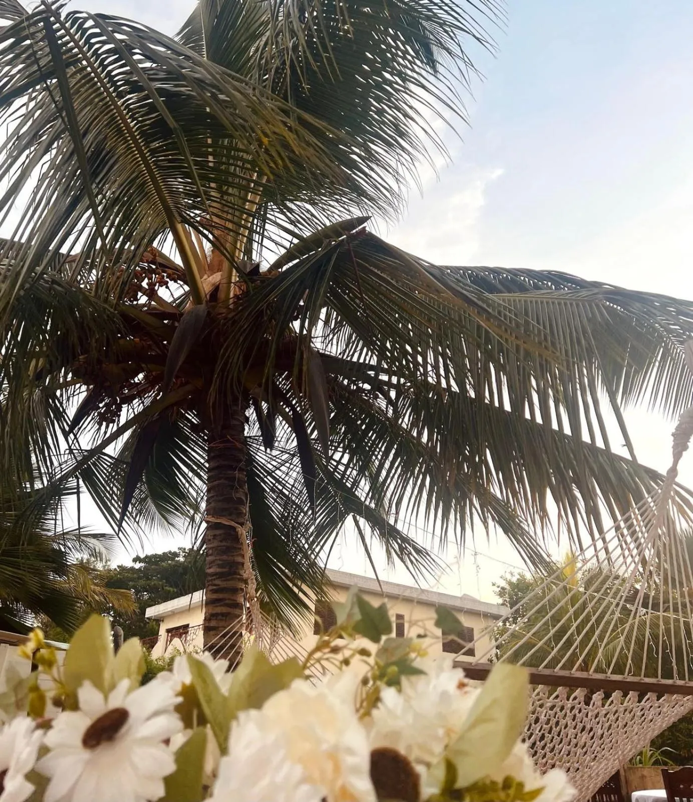 Natural landscape in Villa Serenity, Tanzania Unforgettable