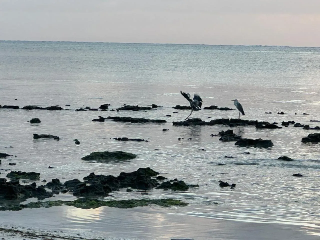 Villa Serenity, Tanzania Unforgettable