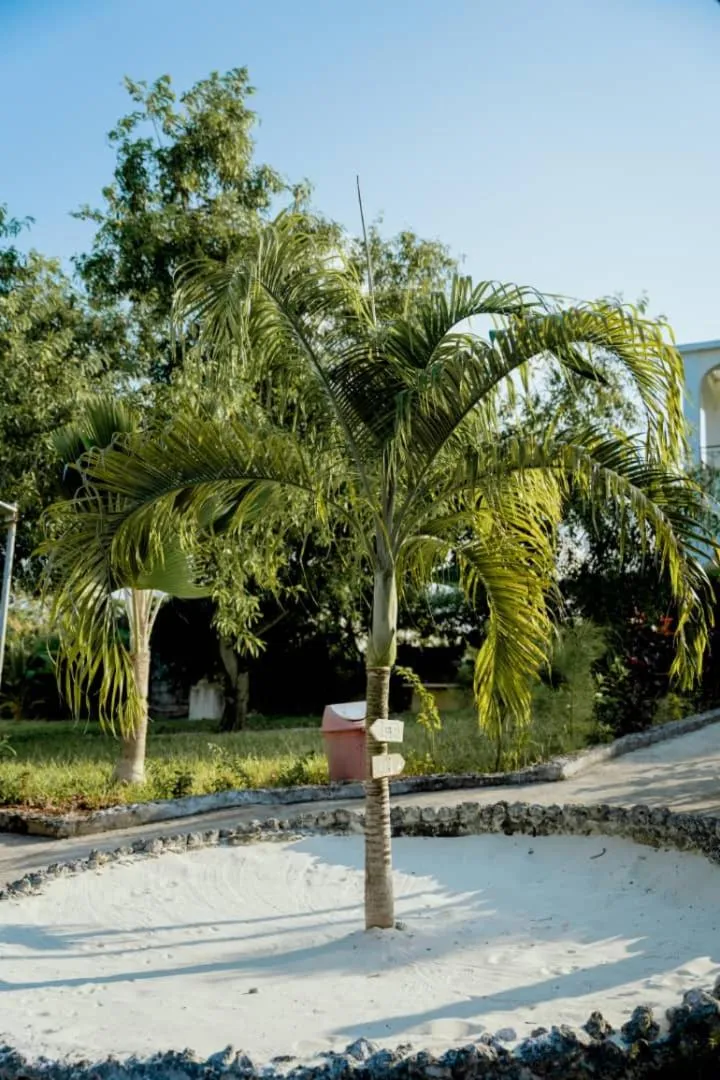 Natural landscape in Villa Serenity, Tanzania Unforgettable