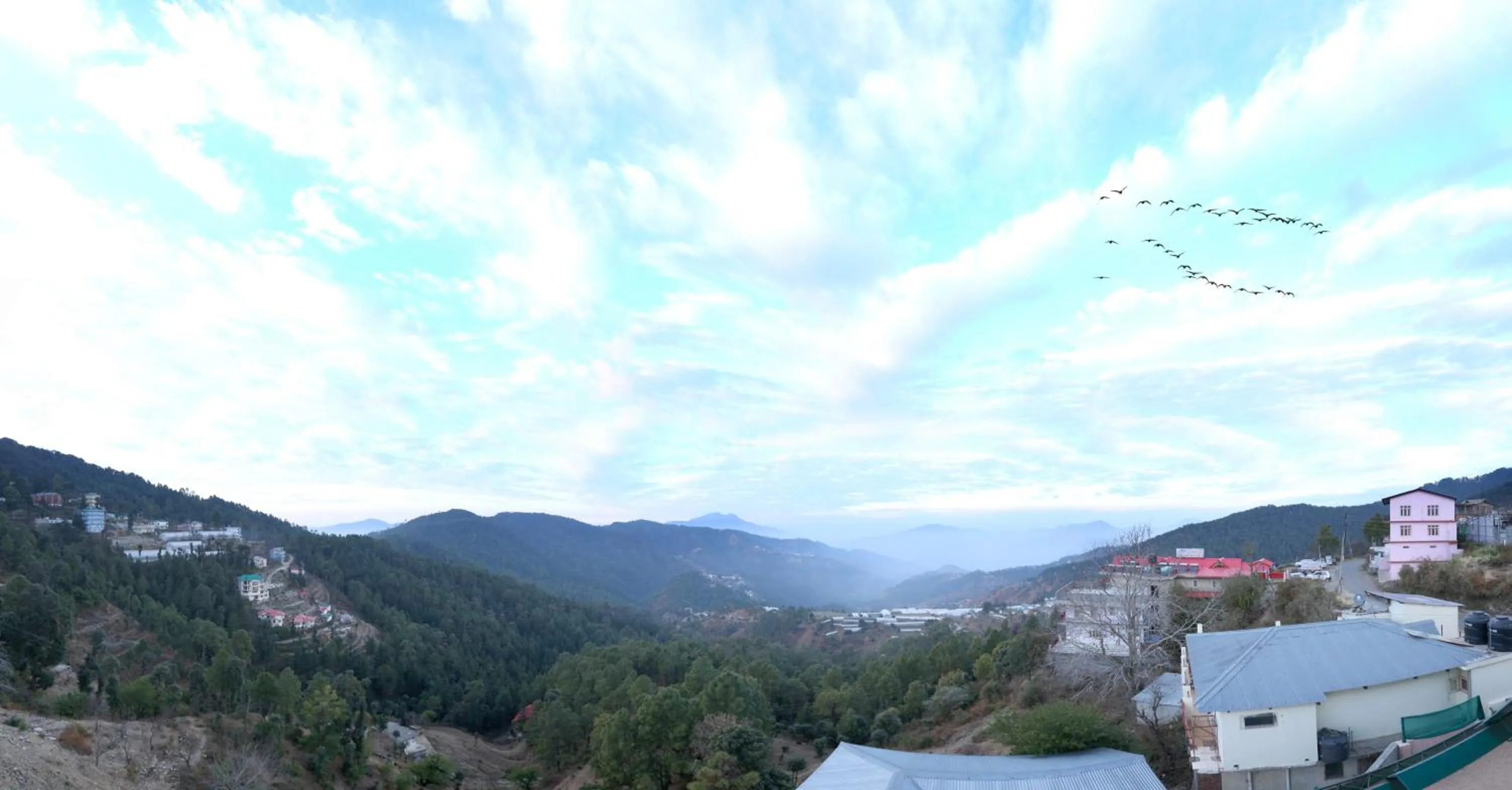 Neighbourhood in Hotel Chail Residency