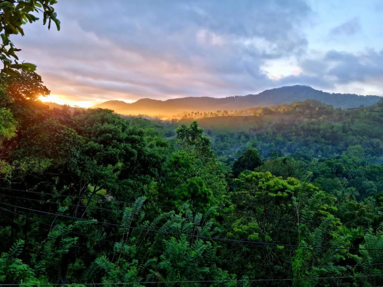 Natural landscape in Mount Crest Inn Deniyaya