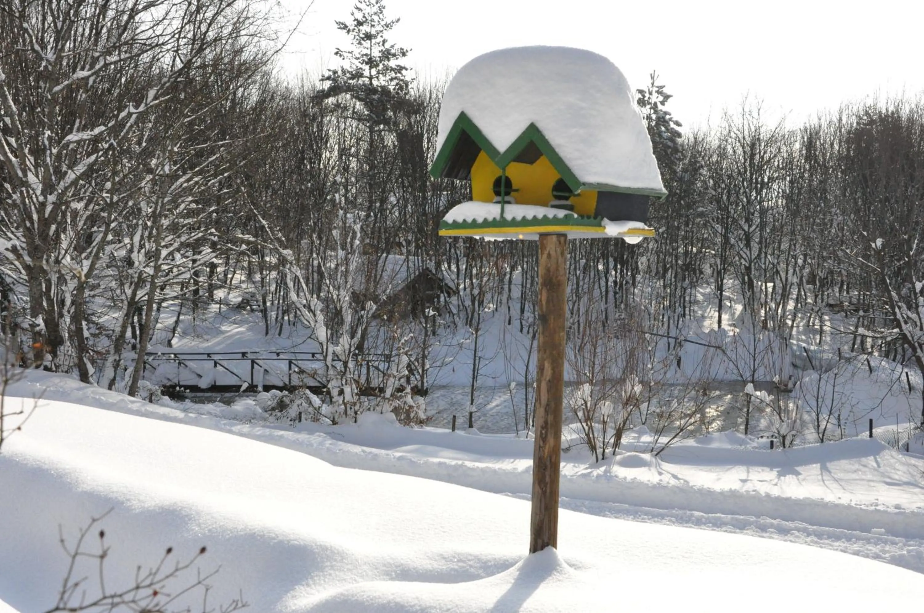 Garden in VONRESORT Abant