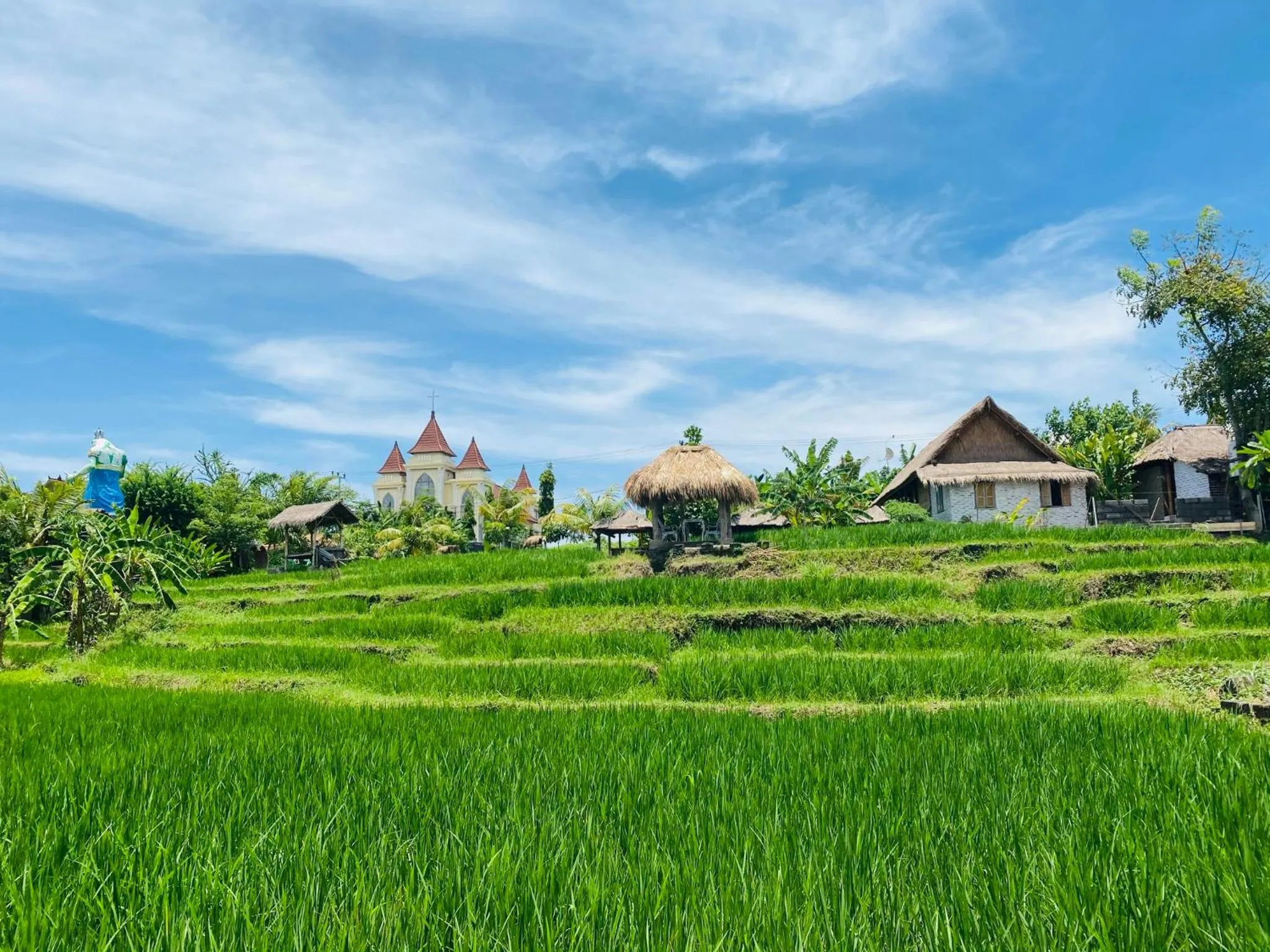 Garden in KTS Balinese Villas