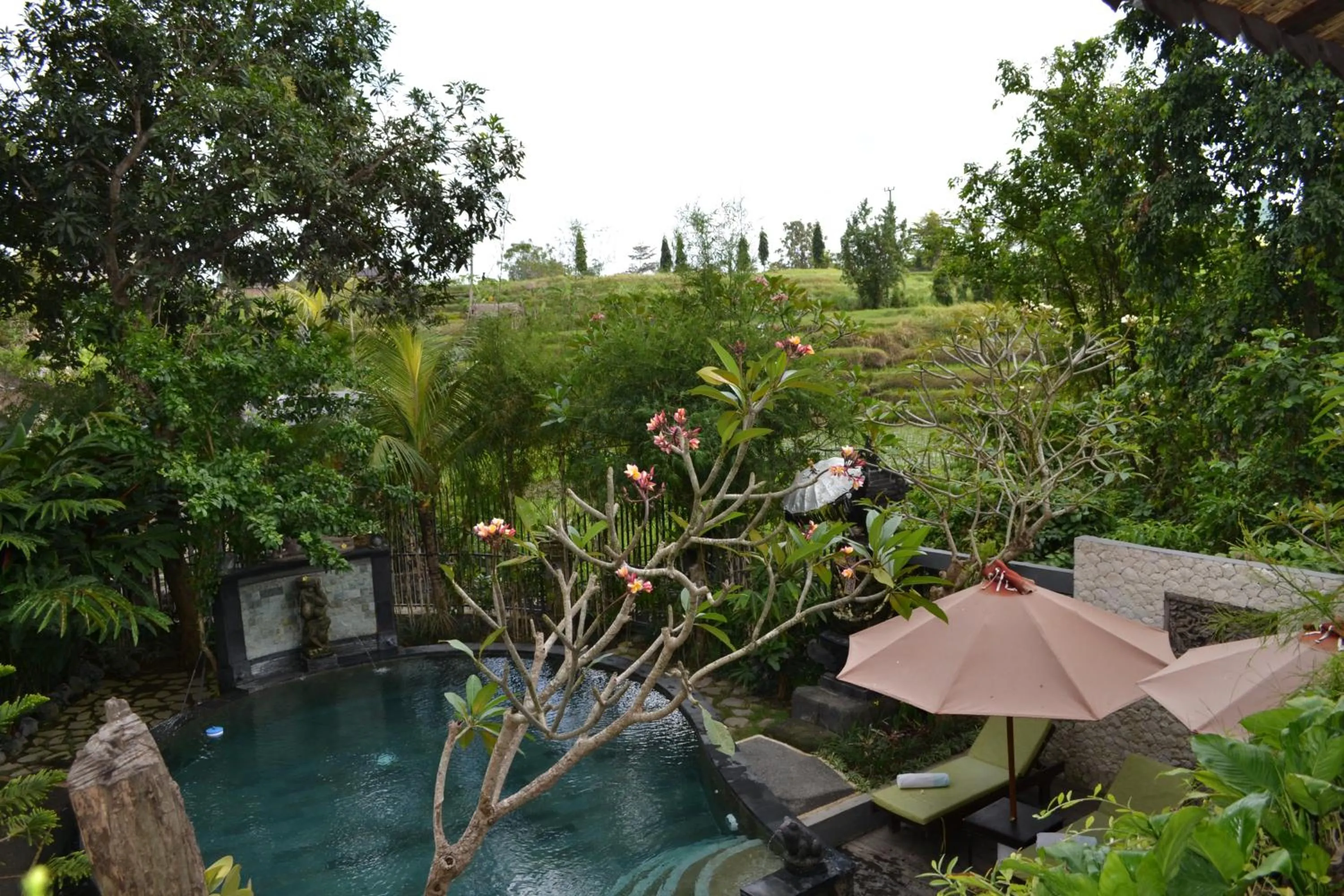 Natural landscape in KTS Balinese Villas