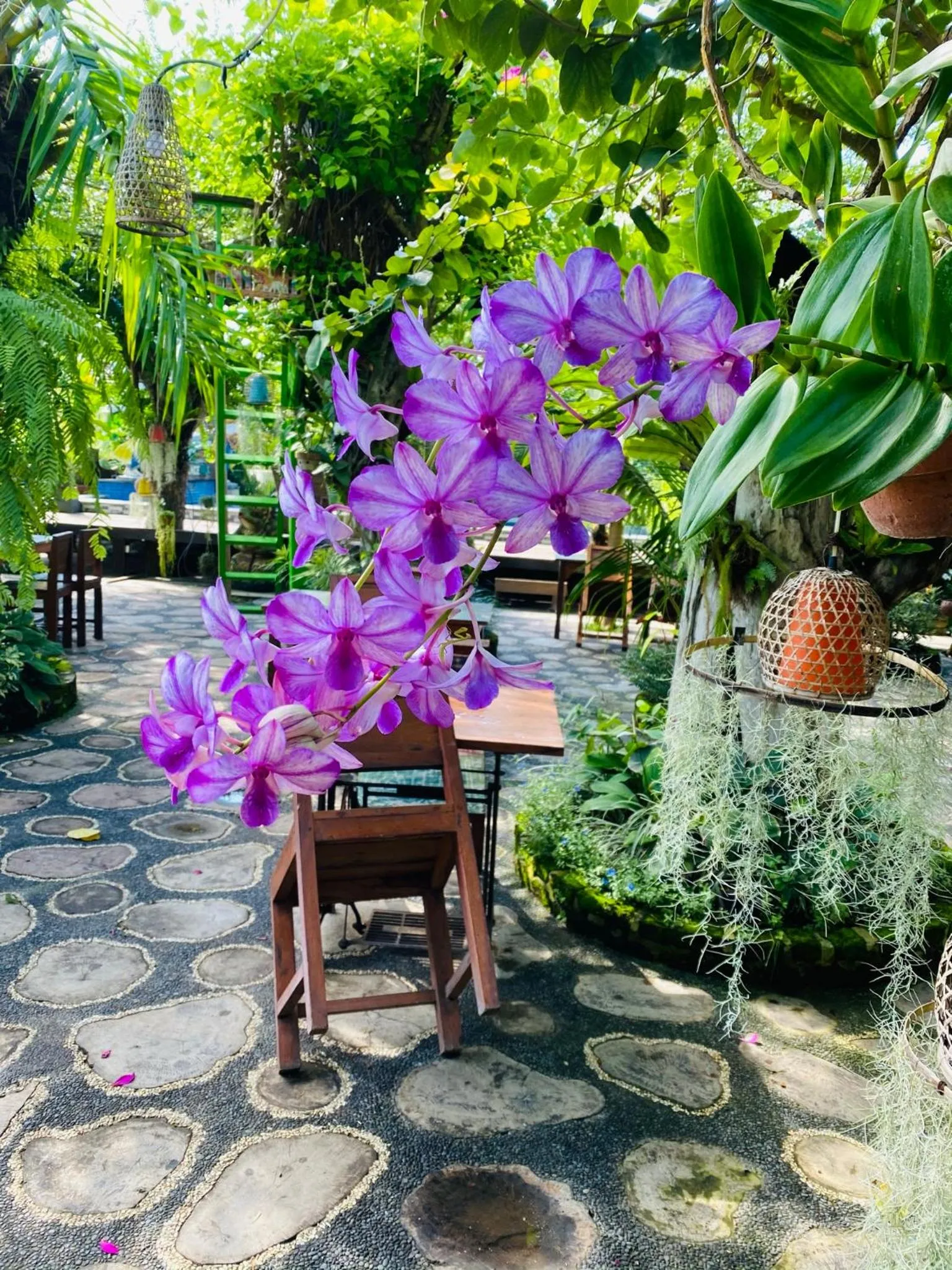 Day in KTS Balinese Villas