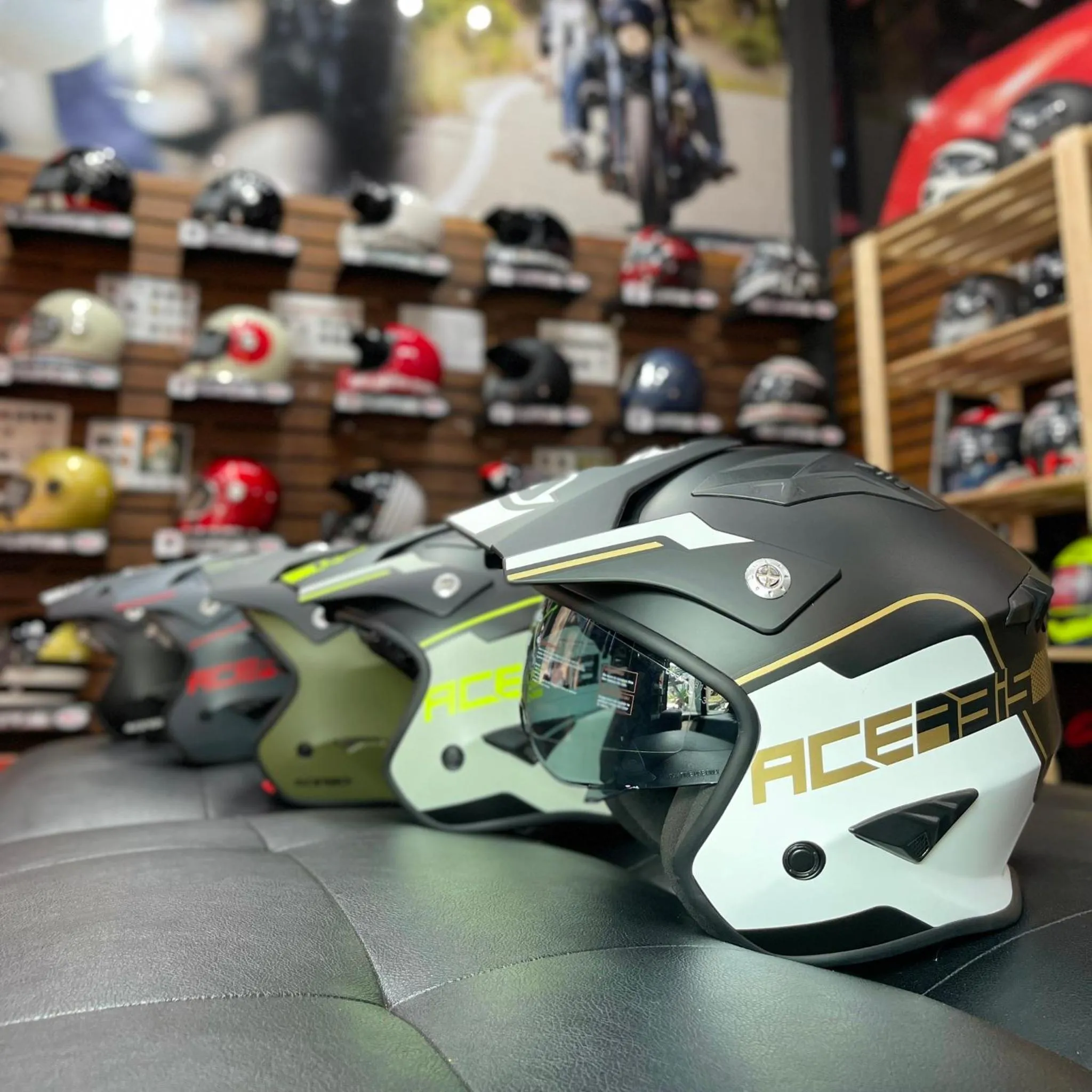 Other Activities in Panini Residence