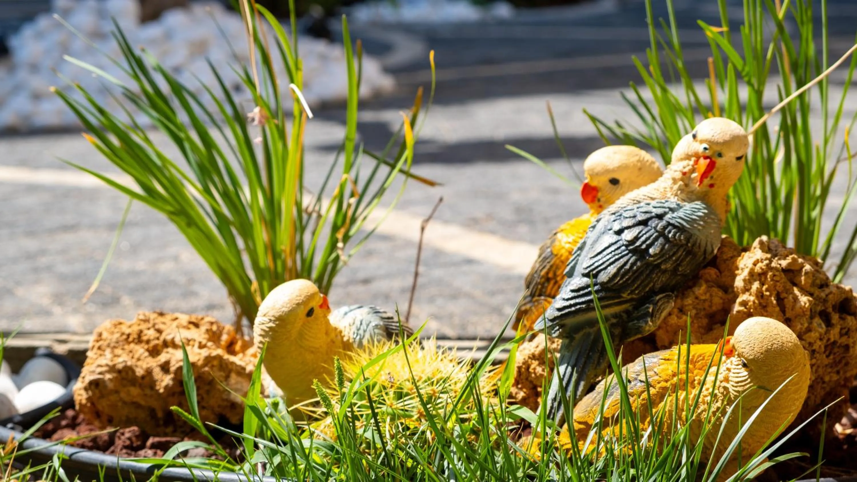 Garden in Tetka Konukevi