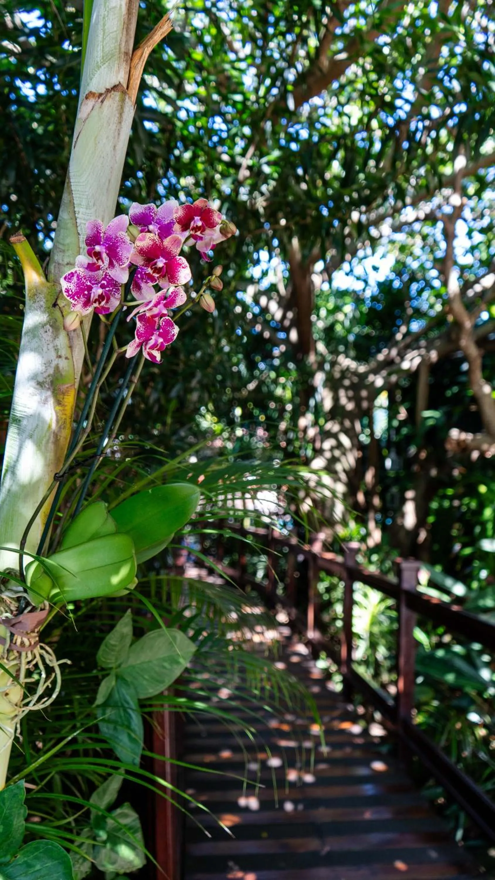 Luxury Tented Village @ Urban Glamping