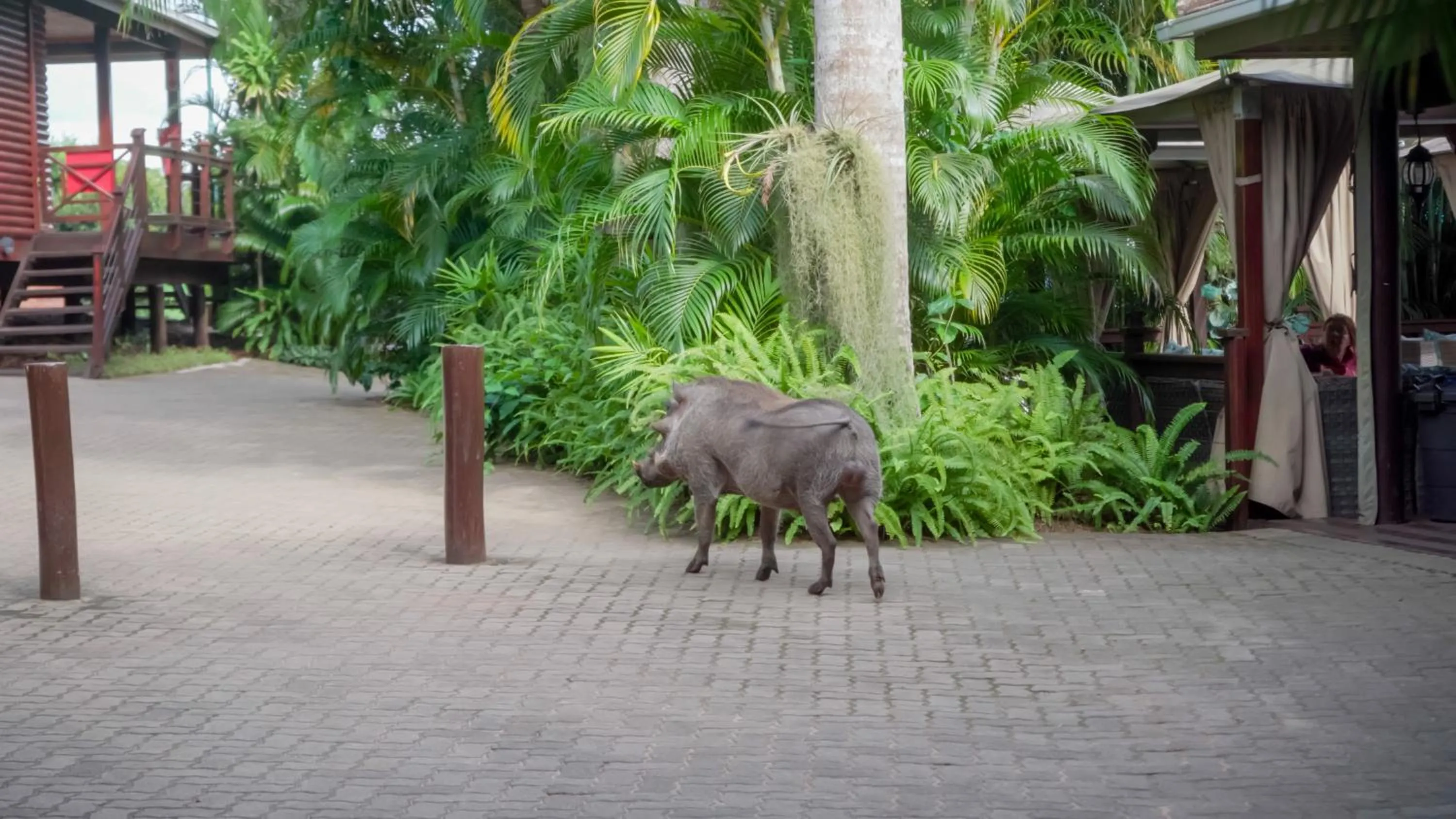 Luxury Tented Village @ Urban Glamping