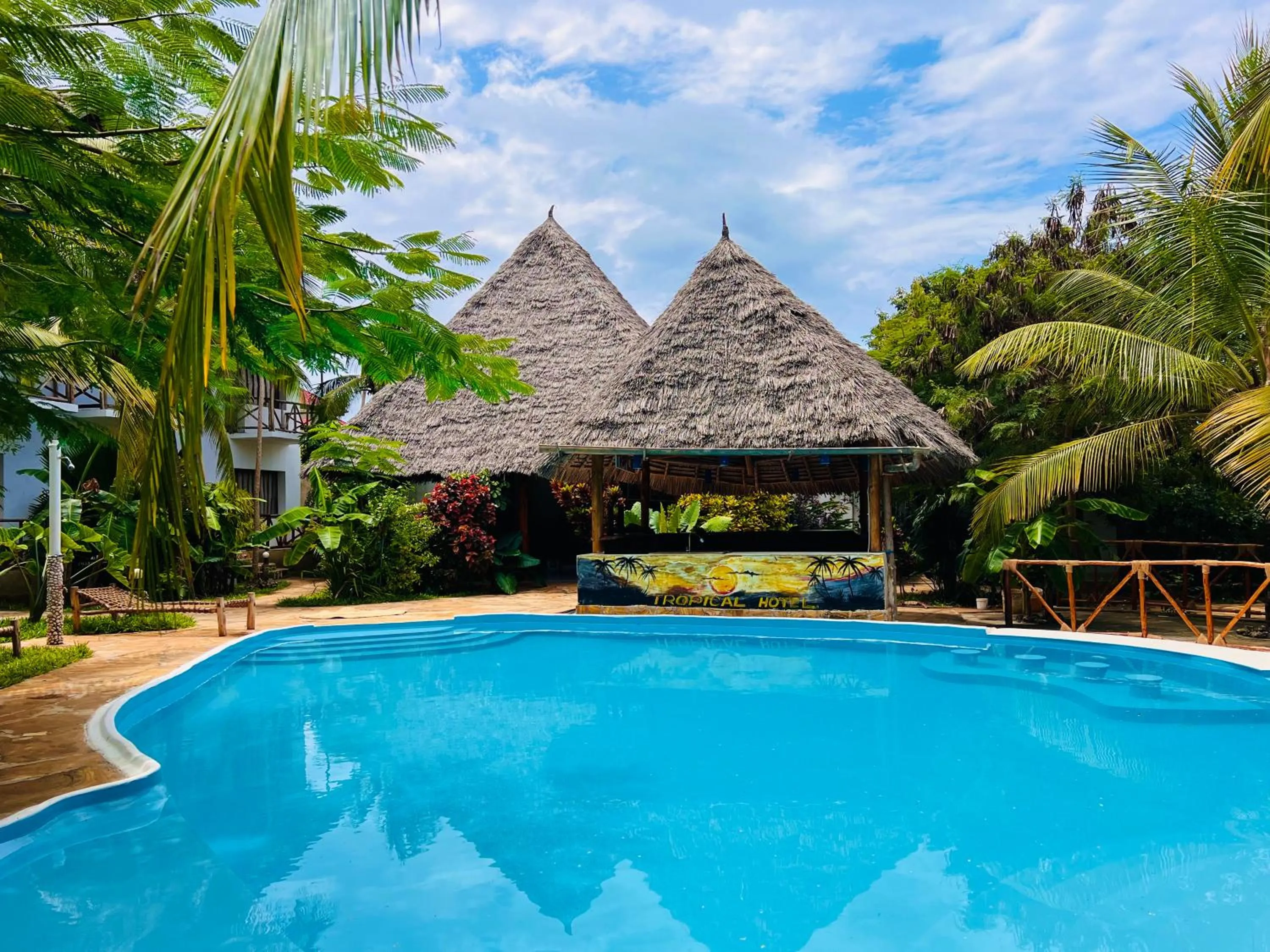 Garden in Tropical Nungwi