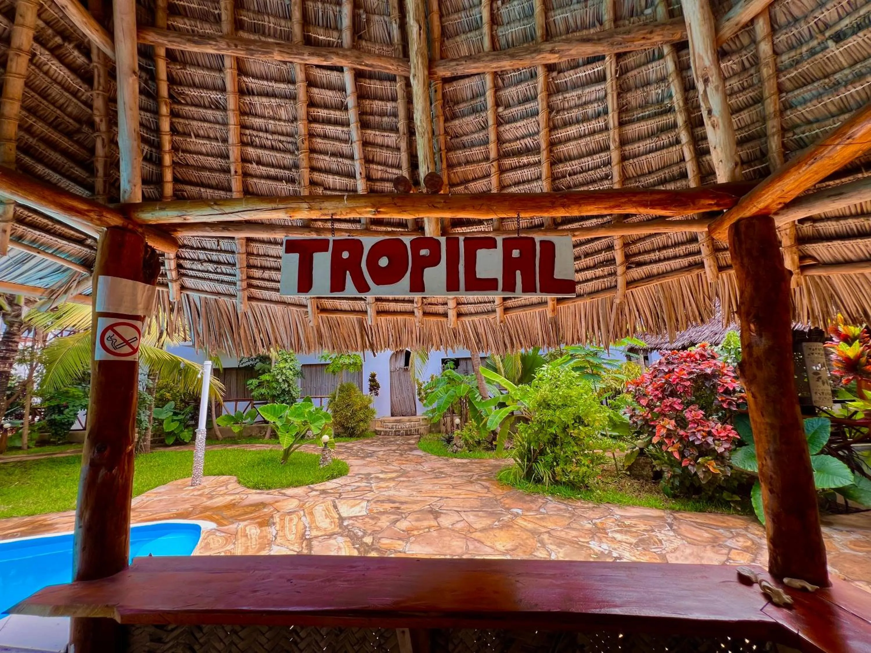 Day in Tropical Nungwi