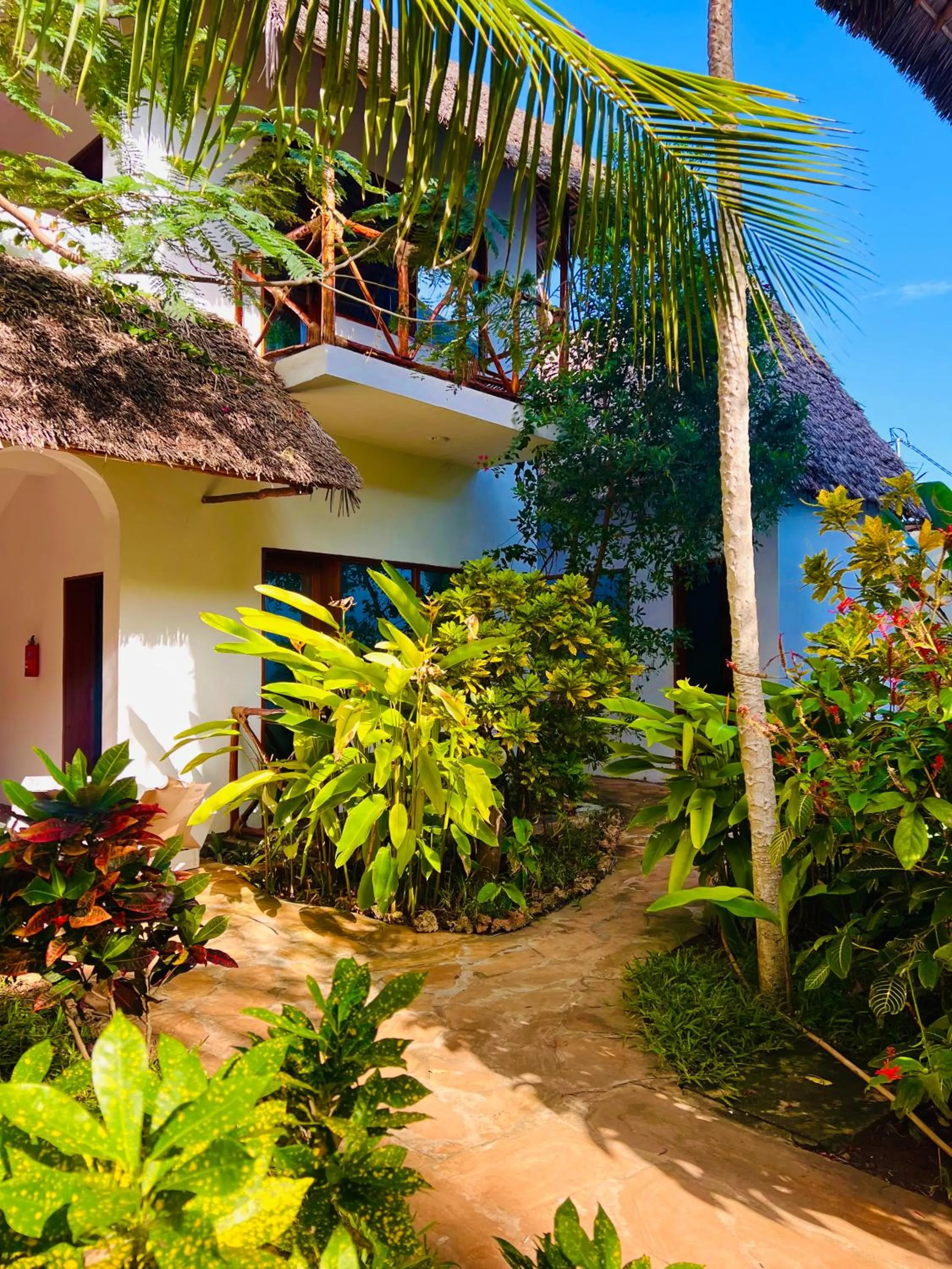 Garden view in Tropical Nungwi