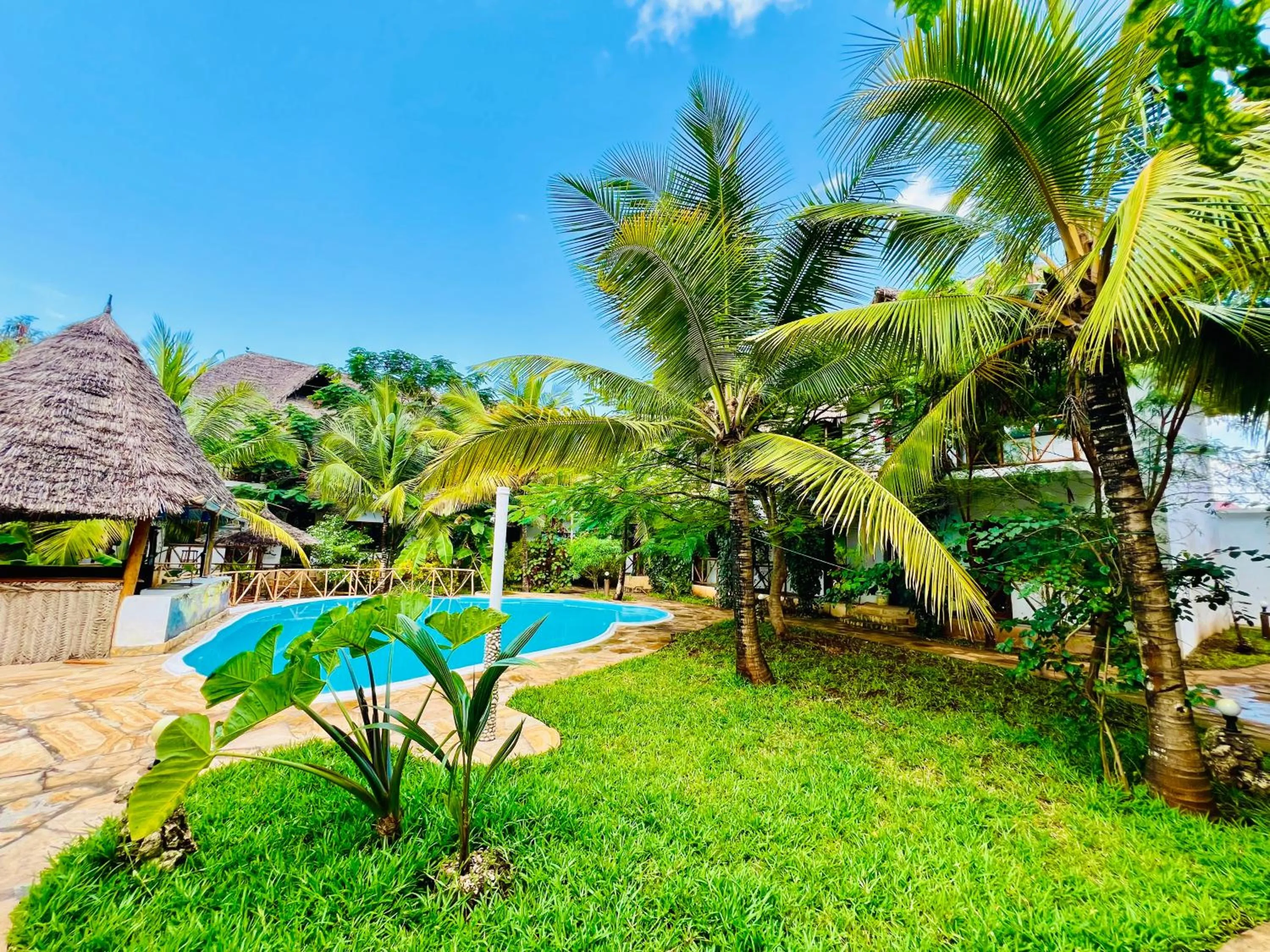 Garden view in Tropical Nungwi