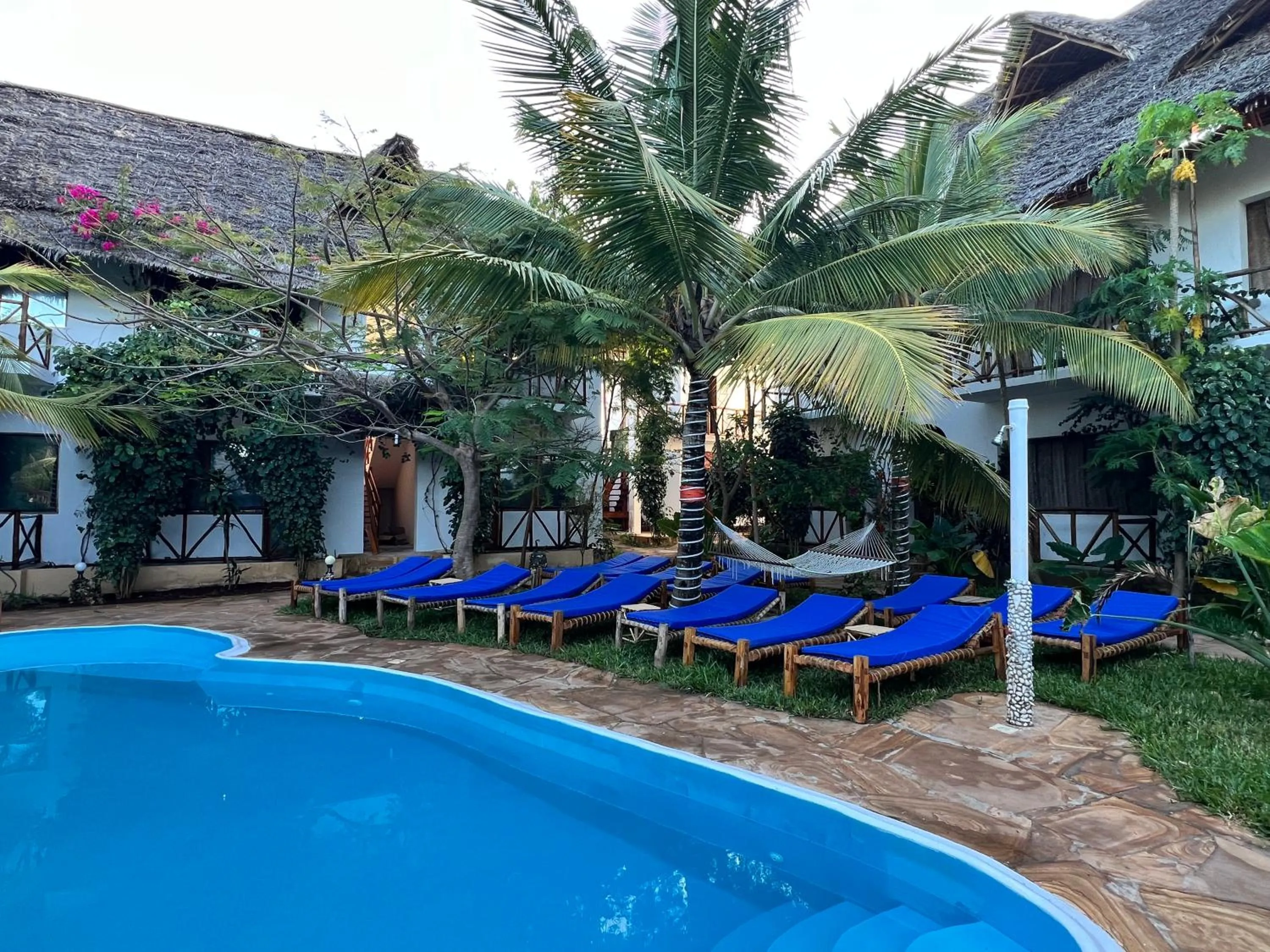 Property building in Tropical Nungwi