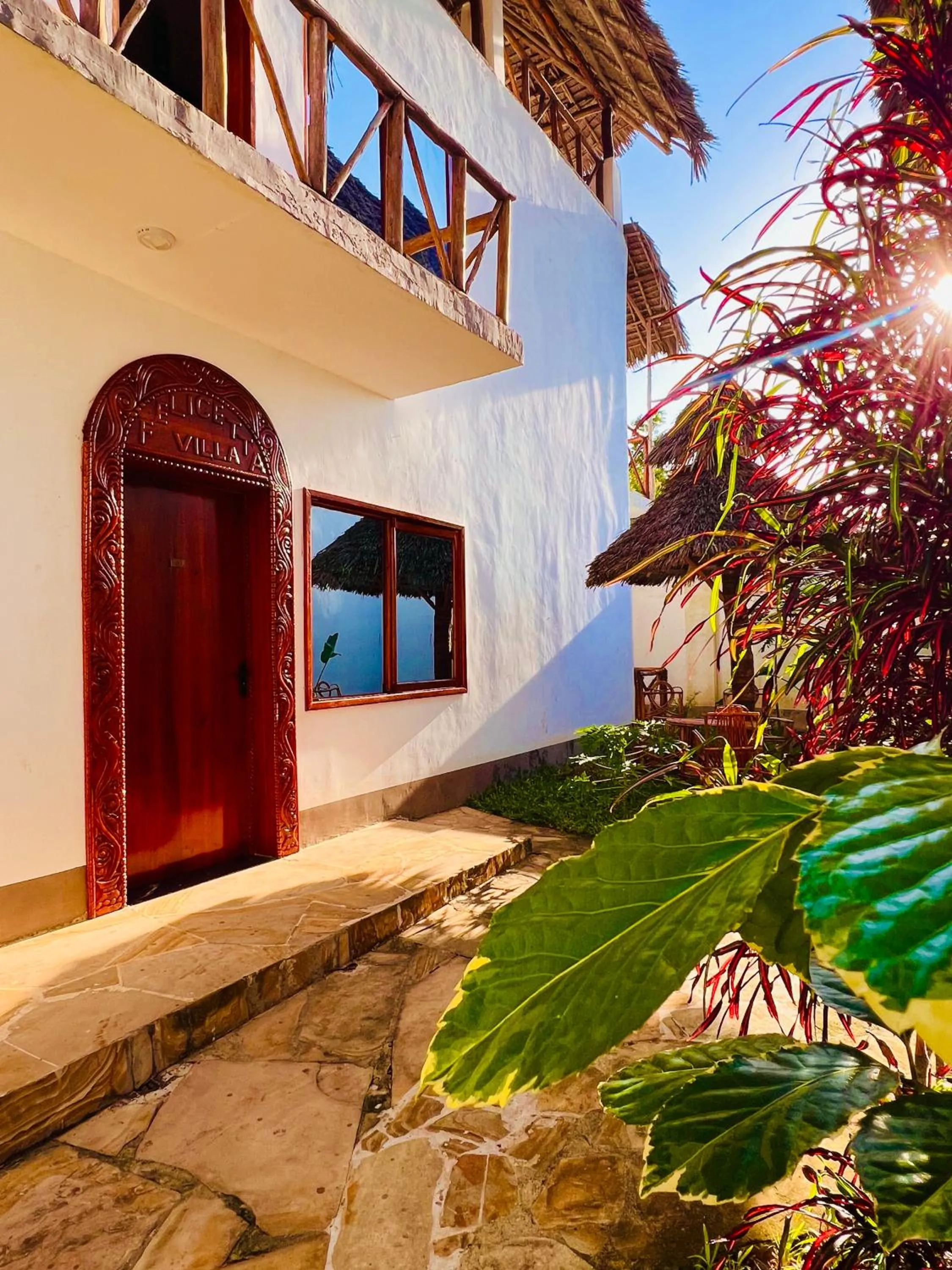 Garden in Tropical Nungwi