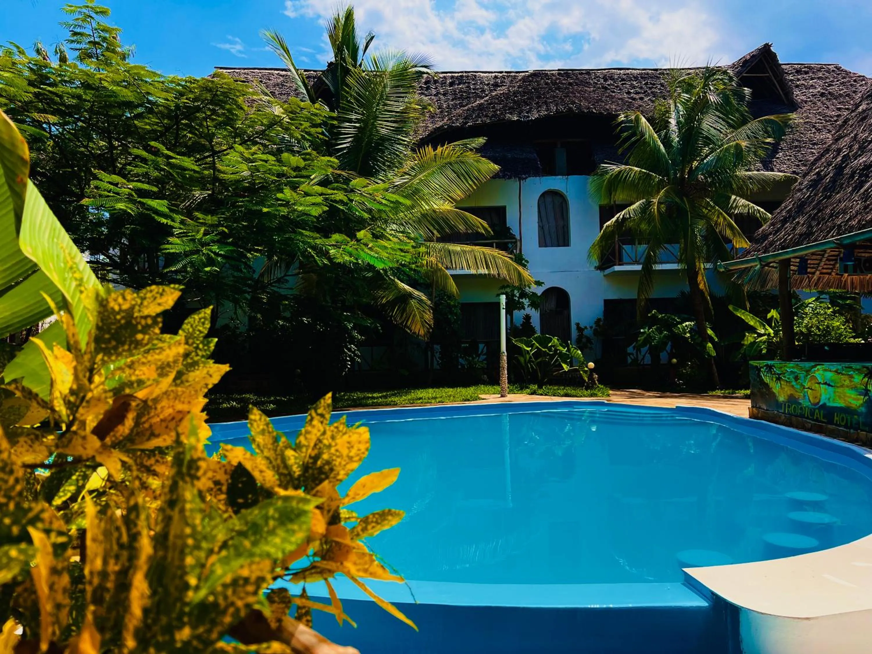 Garden in Tropical Nungwi