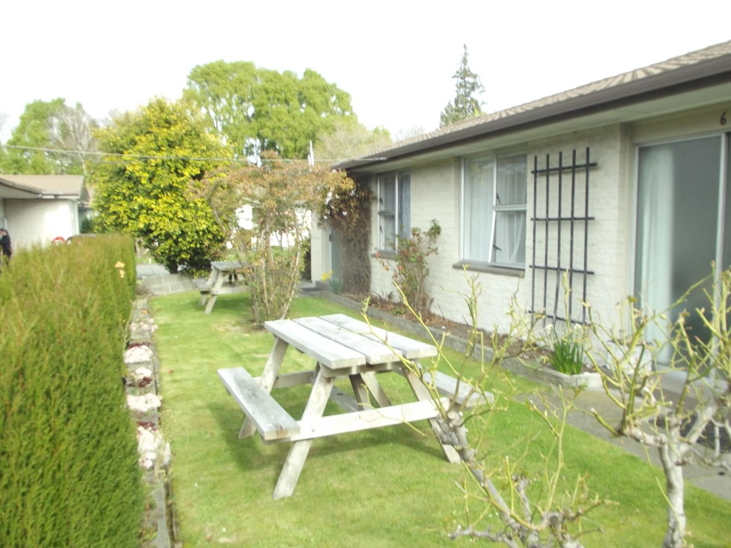 Garden view in Admiral Motel
