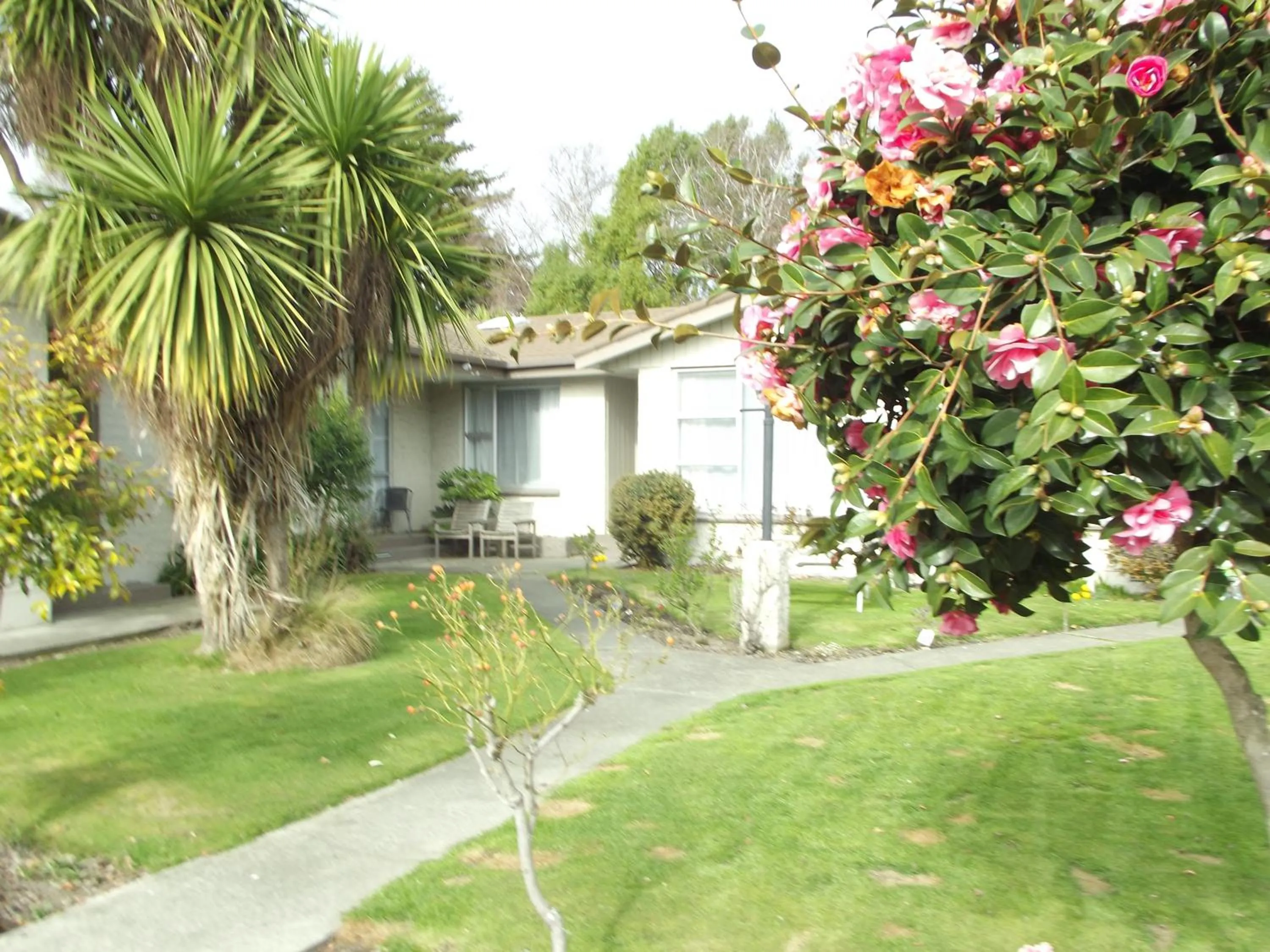 Garden view in Admiral Motel