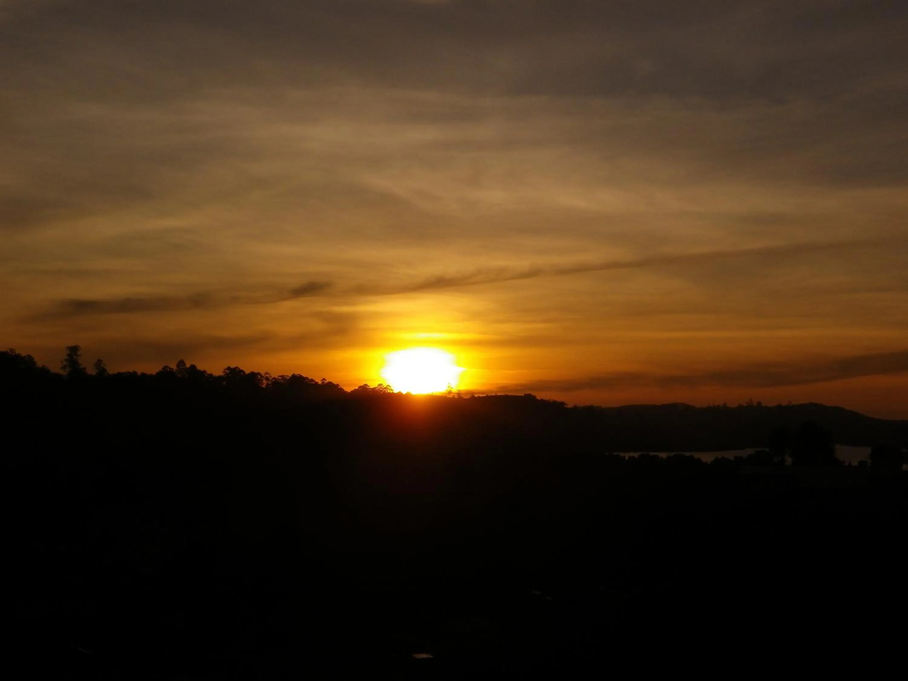 Bird's eye view in MANUDI Glenfallsedge Rest