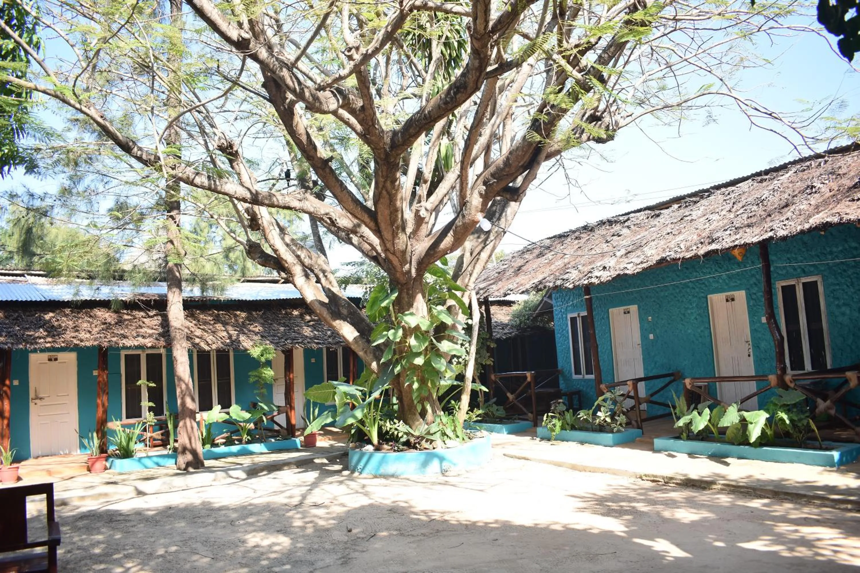 Property building in La Neisha Hotel Nungwi