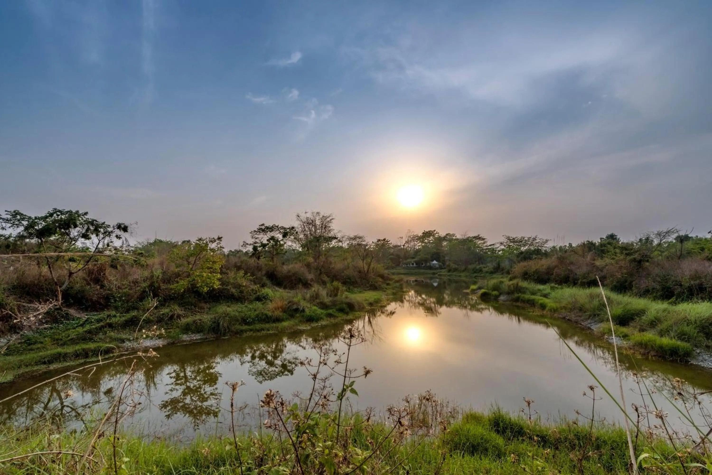 Natural landscape in The Riverwood Forest Retreat Dooars - fully vaccinated staff