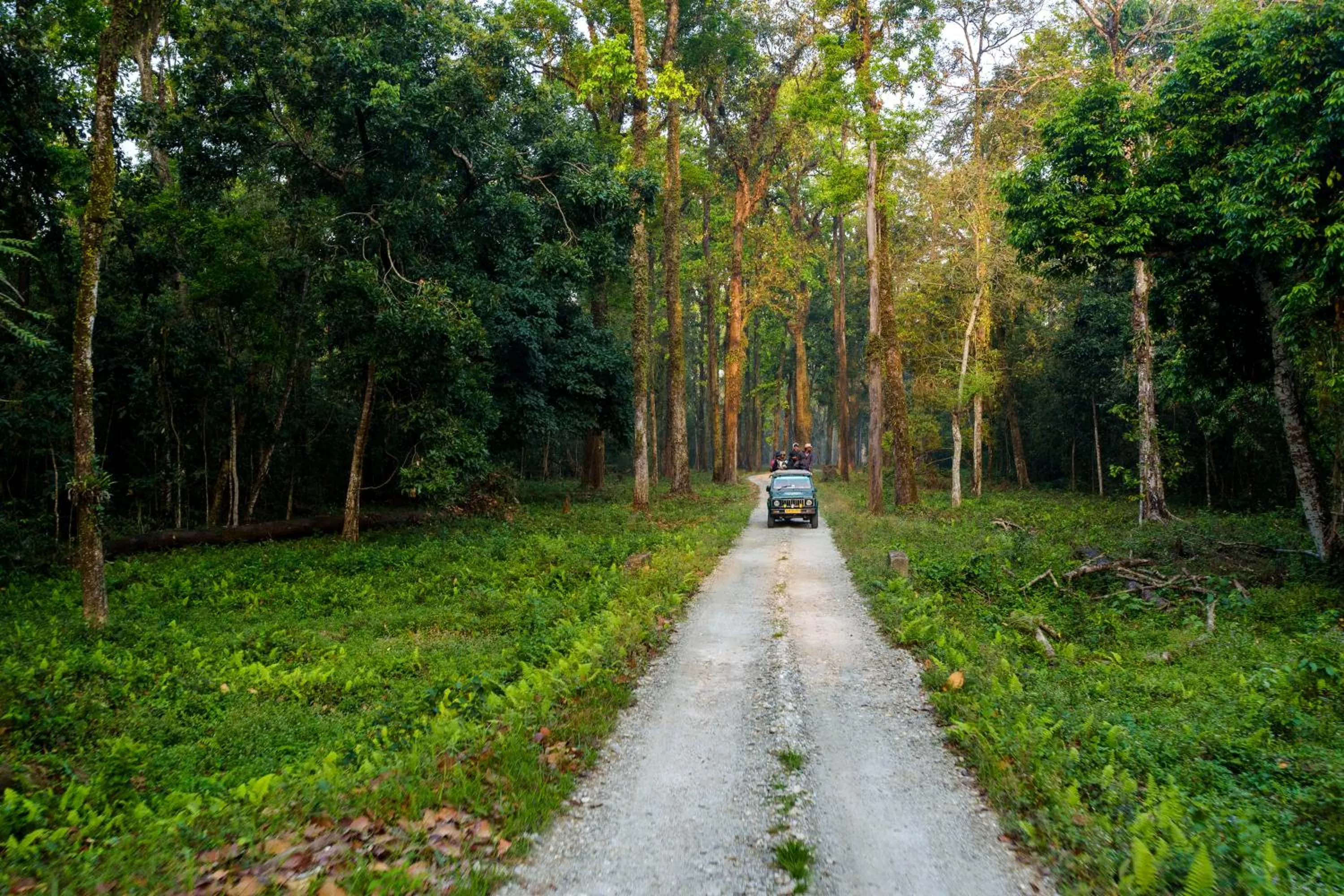 Natural landscape in The Riverwood Forest Retreat Dooars - fully vaccinated staff