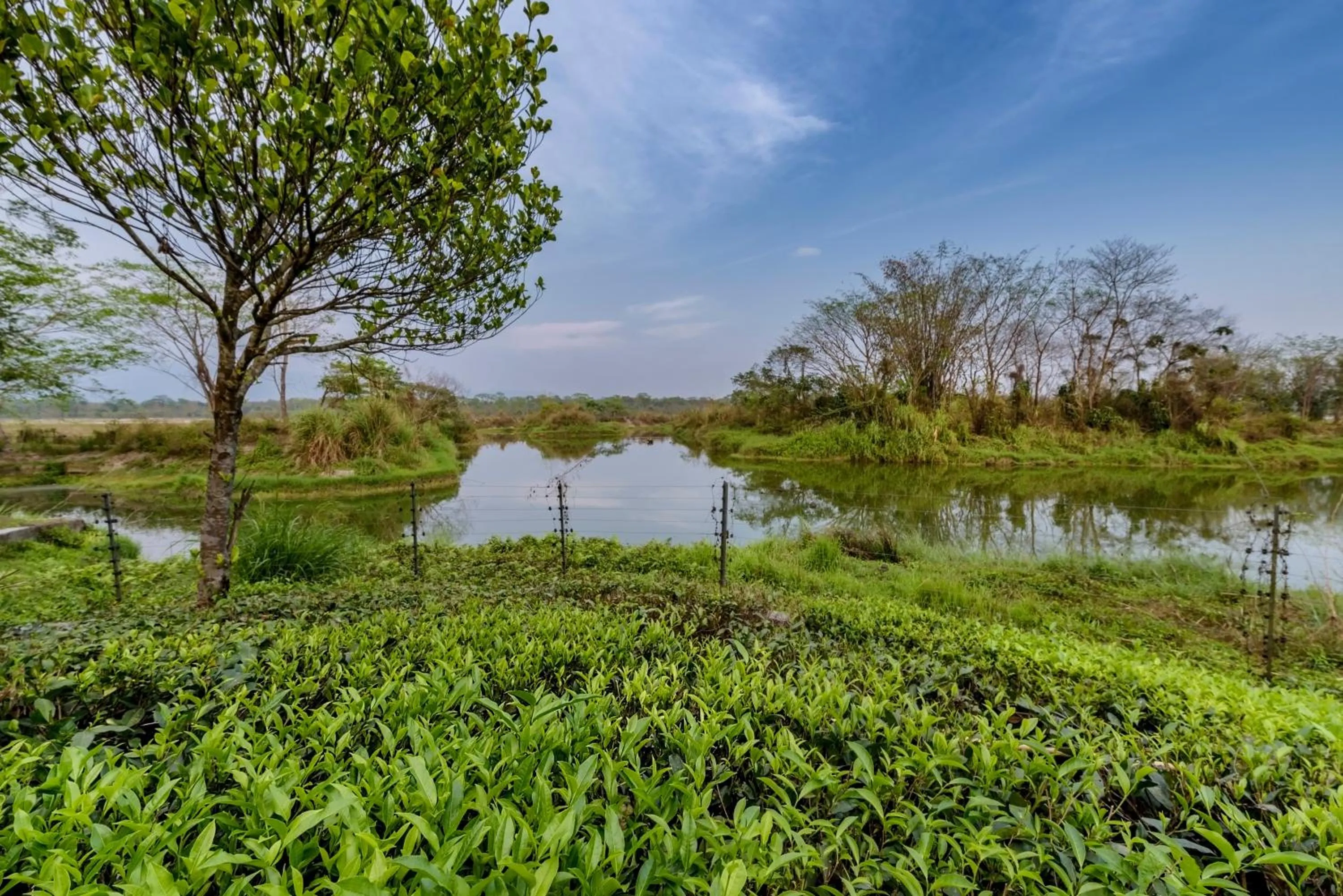 Other in The Riverwood Forest Retreat Dooars - fully vaccinated staff